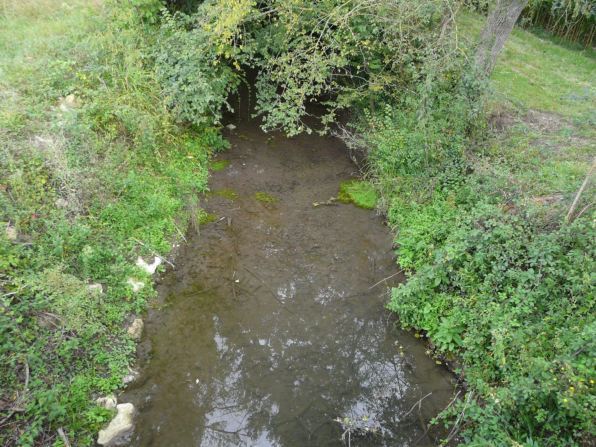 Photo showing: Le Moiron en amont du pont de la route départementale 13E9, Saint-Avit-Saint-Nazaire, Gironde, France.