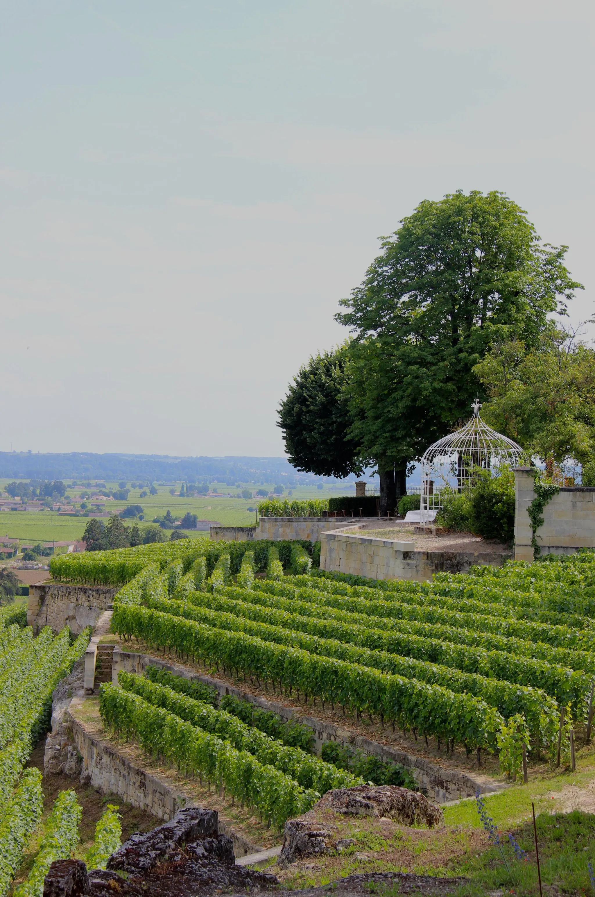 Photo showing: Domaine du Château Ausone, France