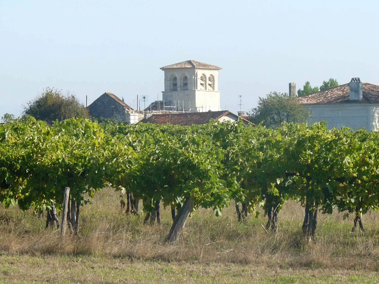 Photo showing: church of Médillac, Charente, SW France