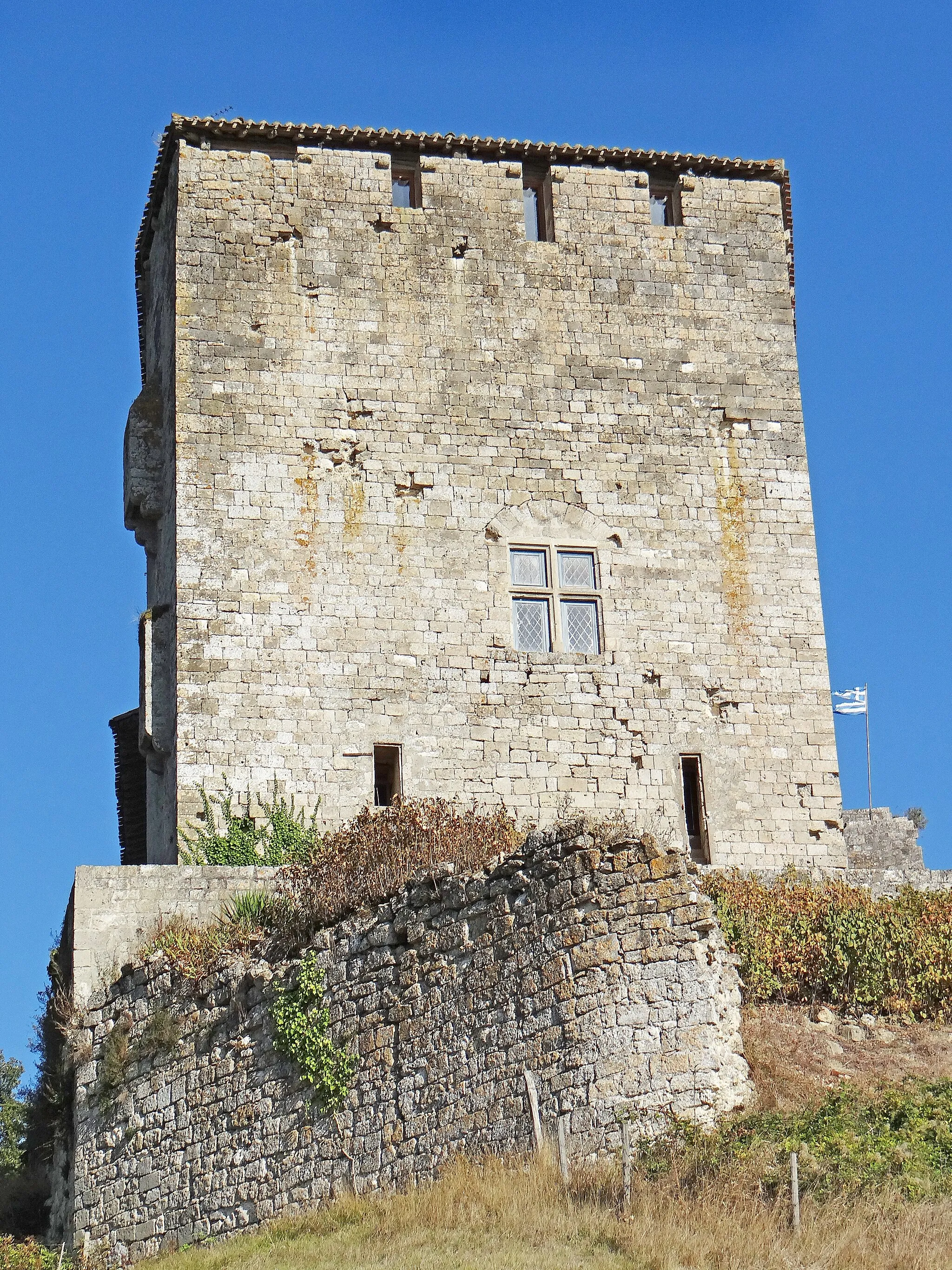 Photo showing: Château de Madaillan - Façade ouest avec l'enceinte dont une partie est effondrée depuis le siège de 1575