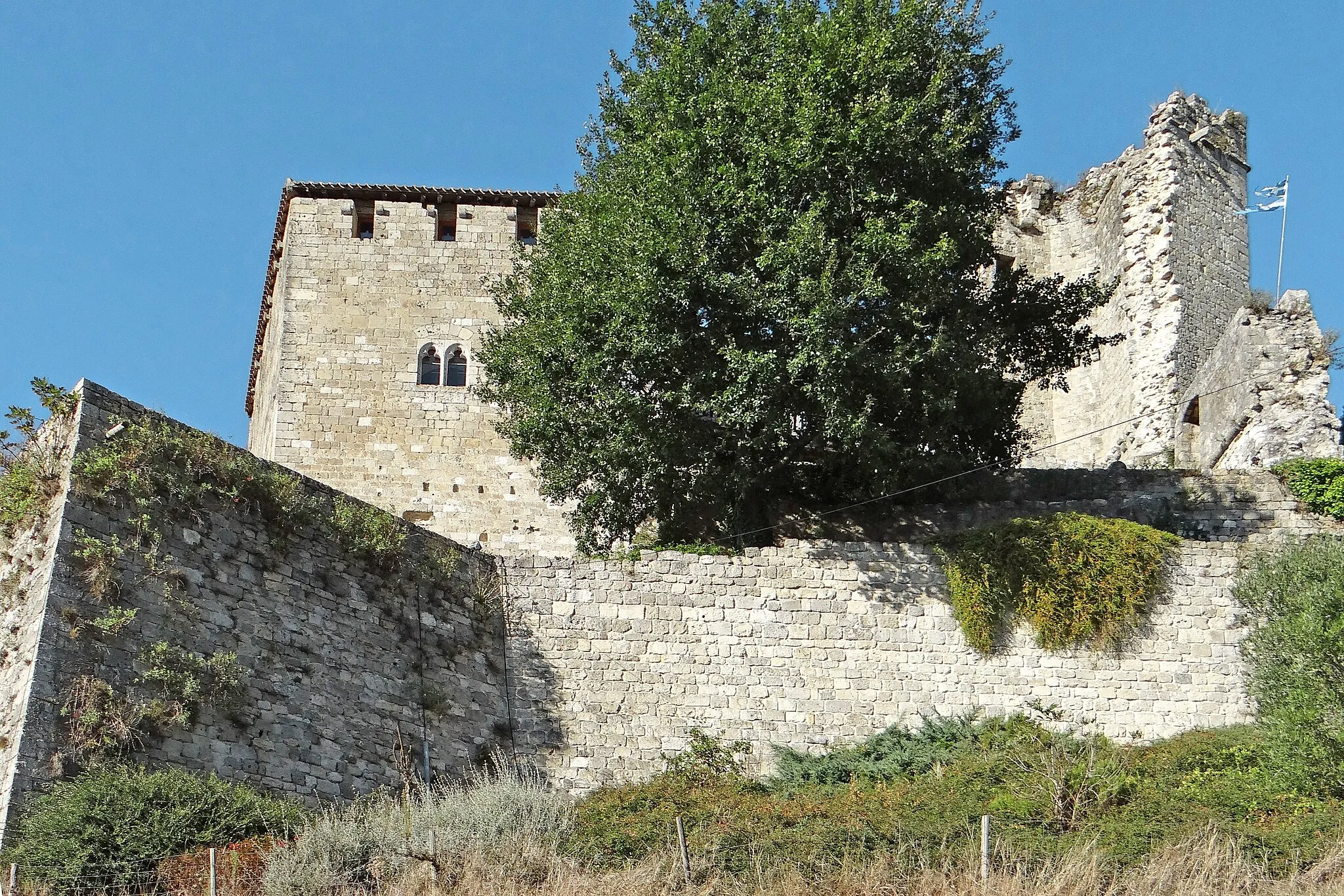 Photo showing: Château de Madaillan - Enceinte