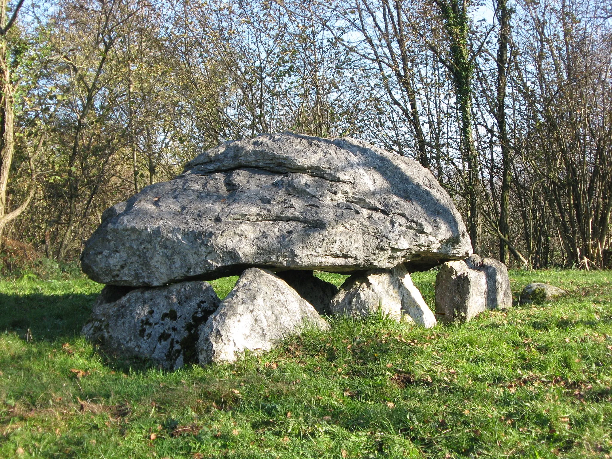 Photo showing: Vue du dolmen de Buzy (Pyrénées-Atlantiques) (Pyrénées).