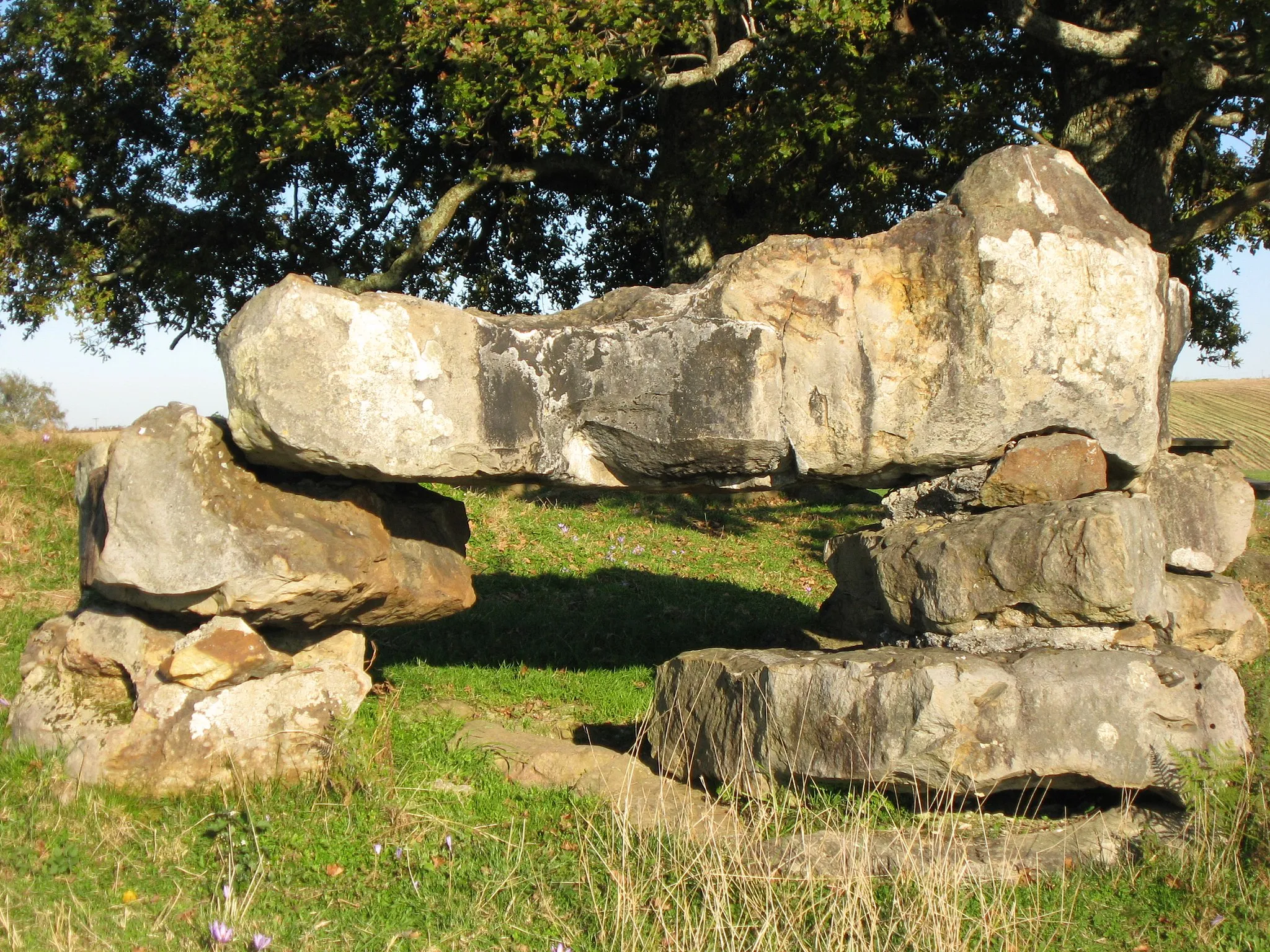 Photo showing: Vue du dolmen d'Escout (Pyrénées Atlantiques) Pyrénées).