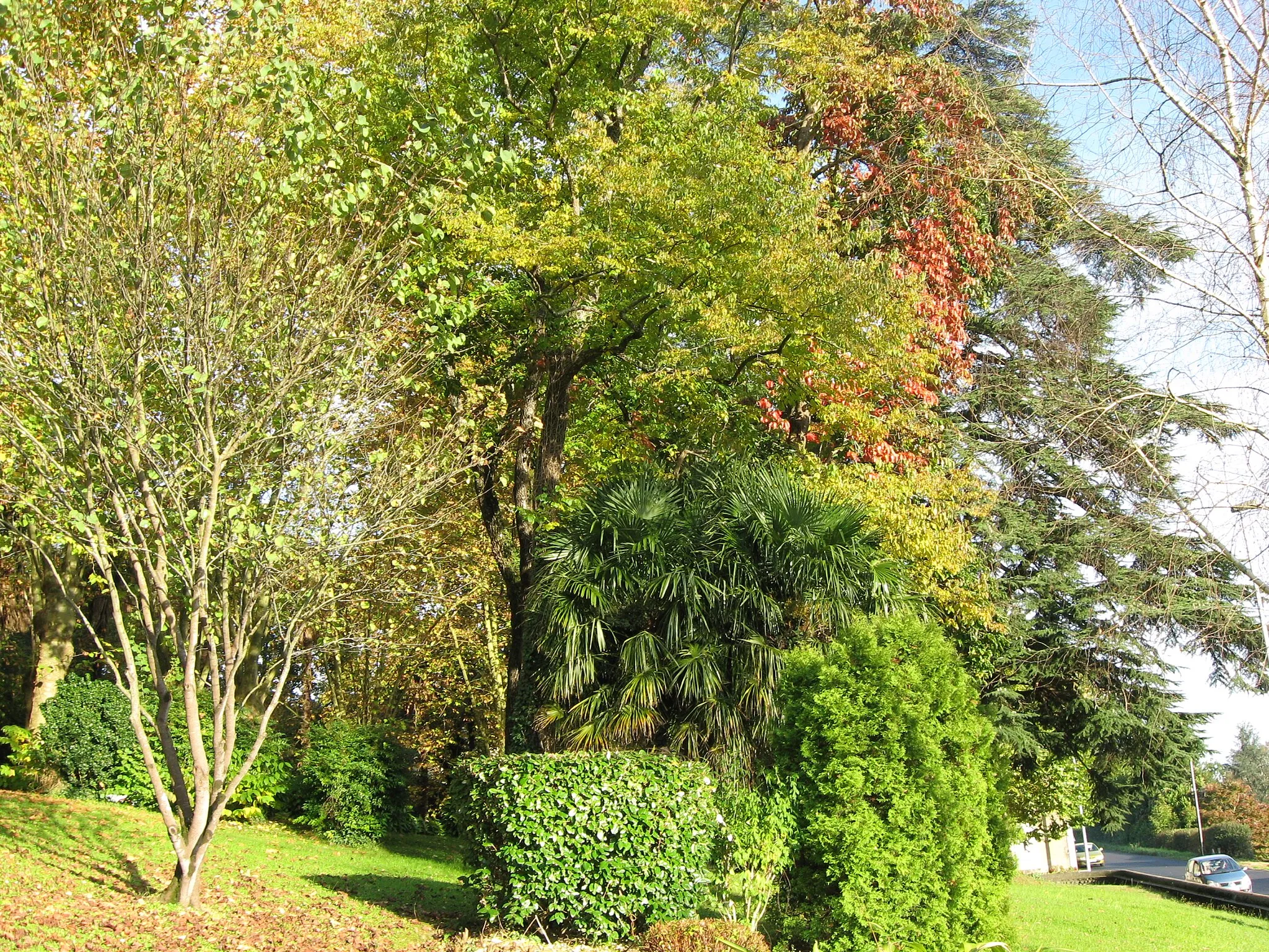 Photo showing: Vue partielle du parc "Pommé" à Oloron-Sainte-Marie (Pyrénées-Atlantiques) Pyrénées).