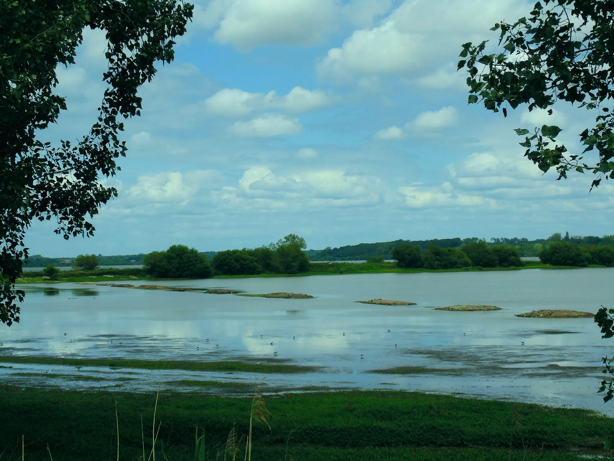 Photo showing: vue partielle du Marais d'Orx depuis un chemin de promenade aménagé. Des oiseaux sont visibles entre la berge et les ilots.