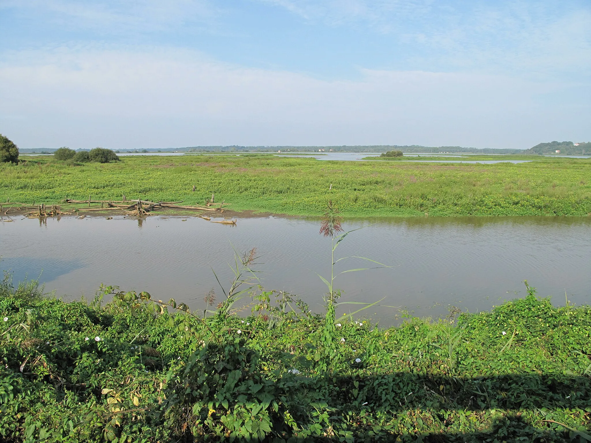 Photo showing: The marsh of Orx, Landes, France