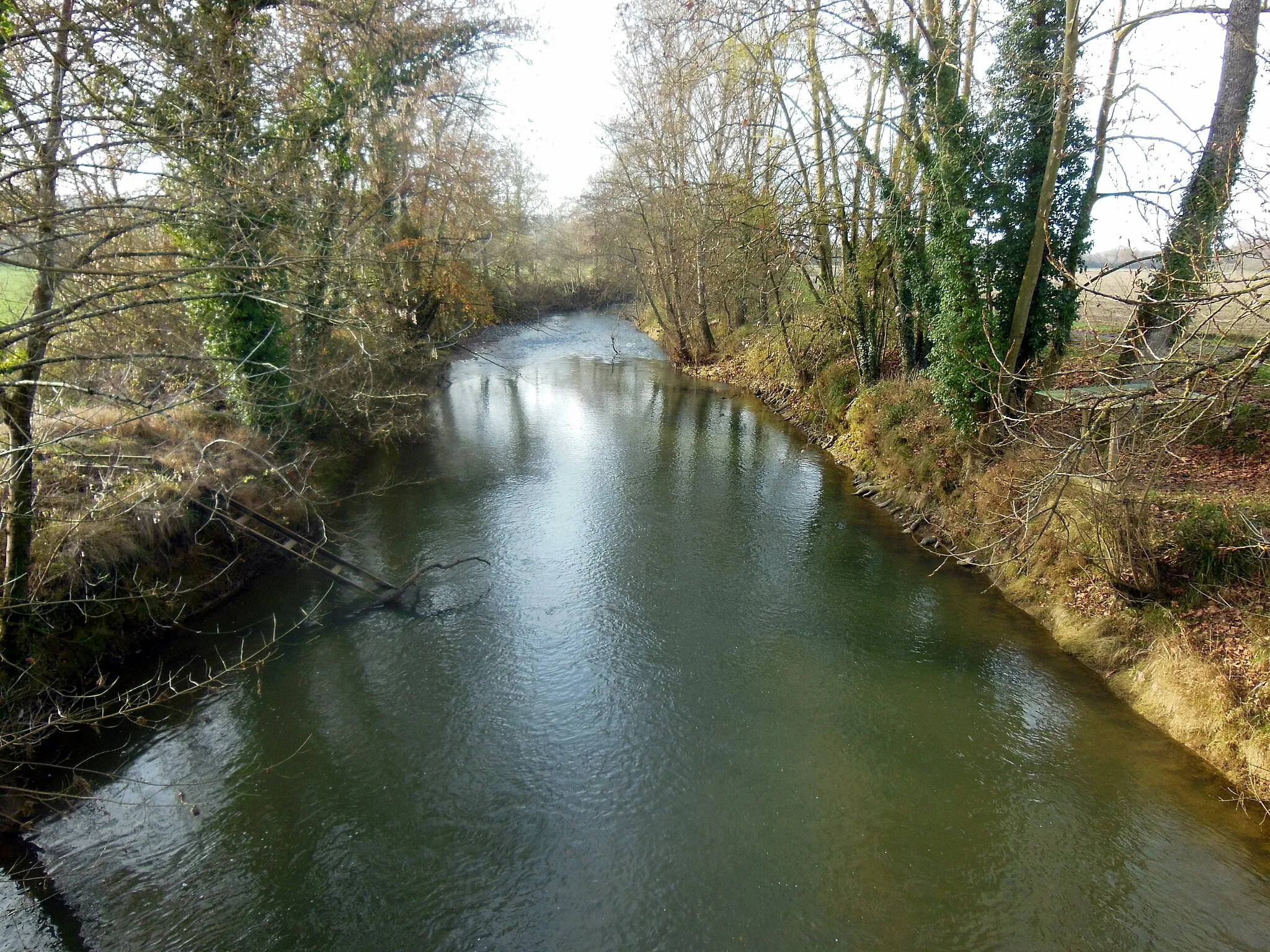 Photo showing: Rivière Gabas, à Banos (Landes, France)