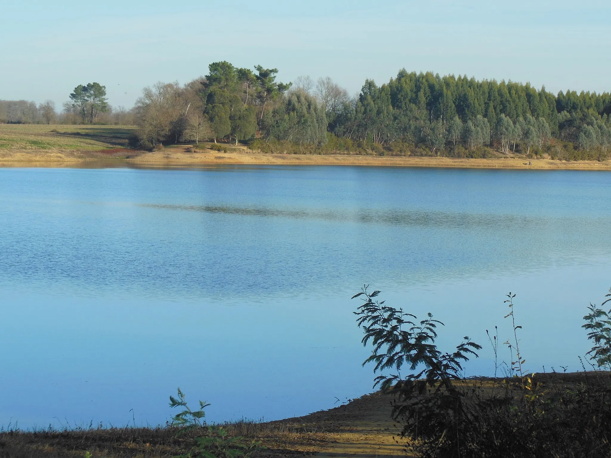 Photo showing: Lac d'Agès vu d'Hagetmau, dans le département français des Landes.