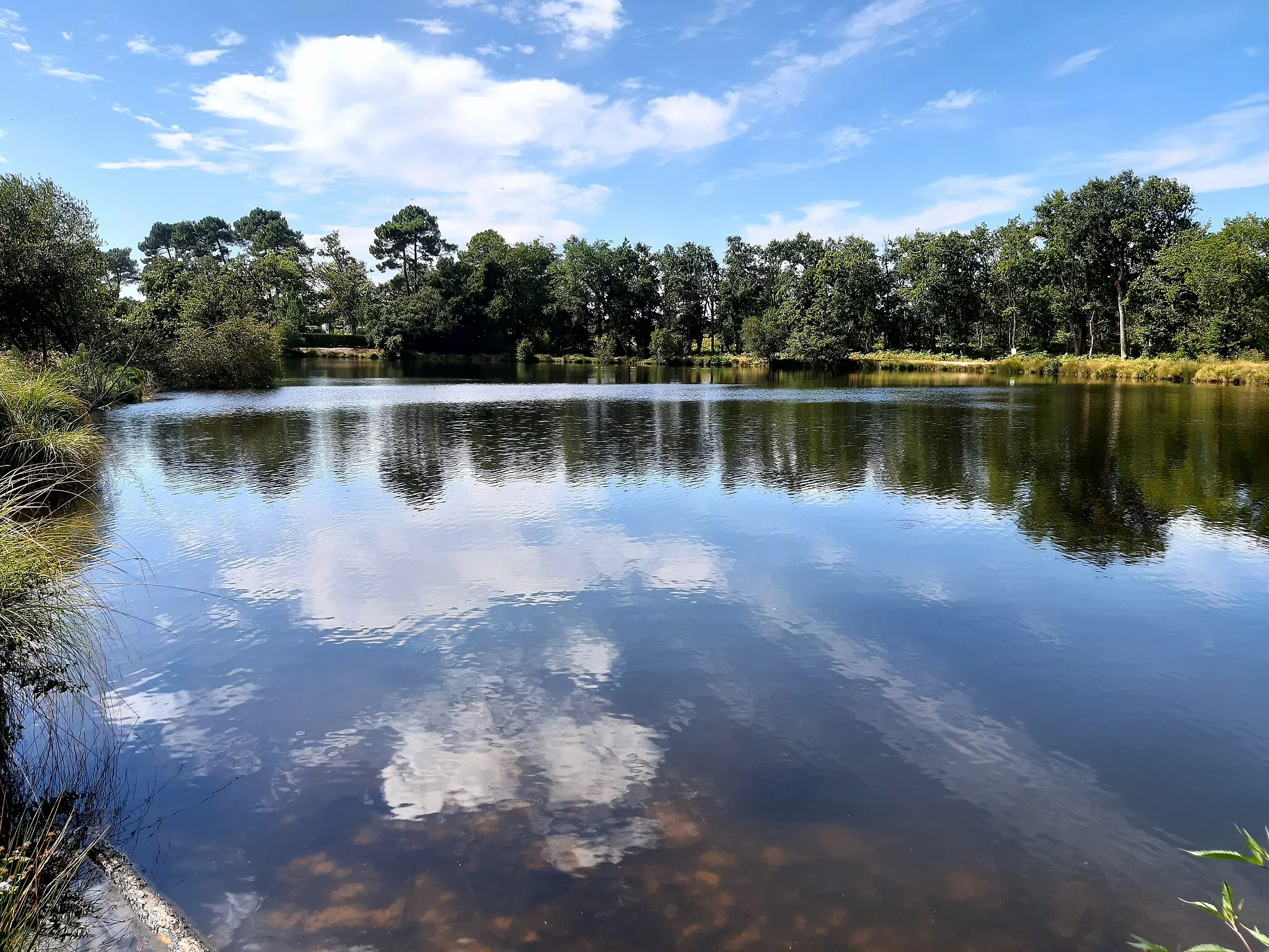 Photo showing: Etang des forges d'Ychoux (Landes, France)