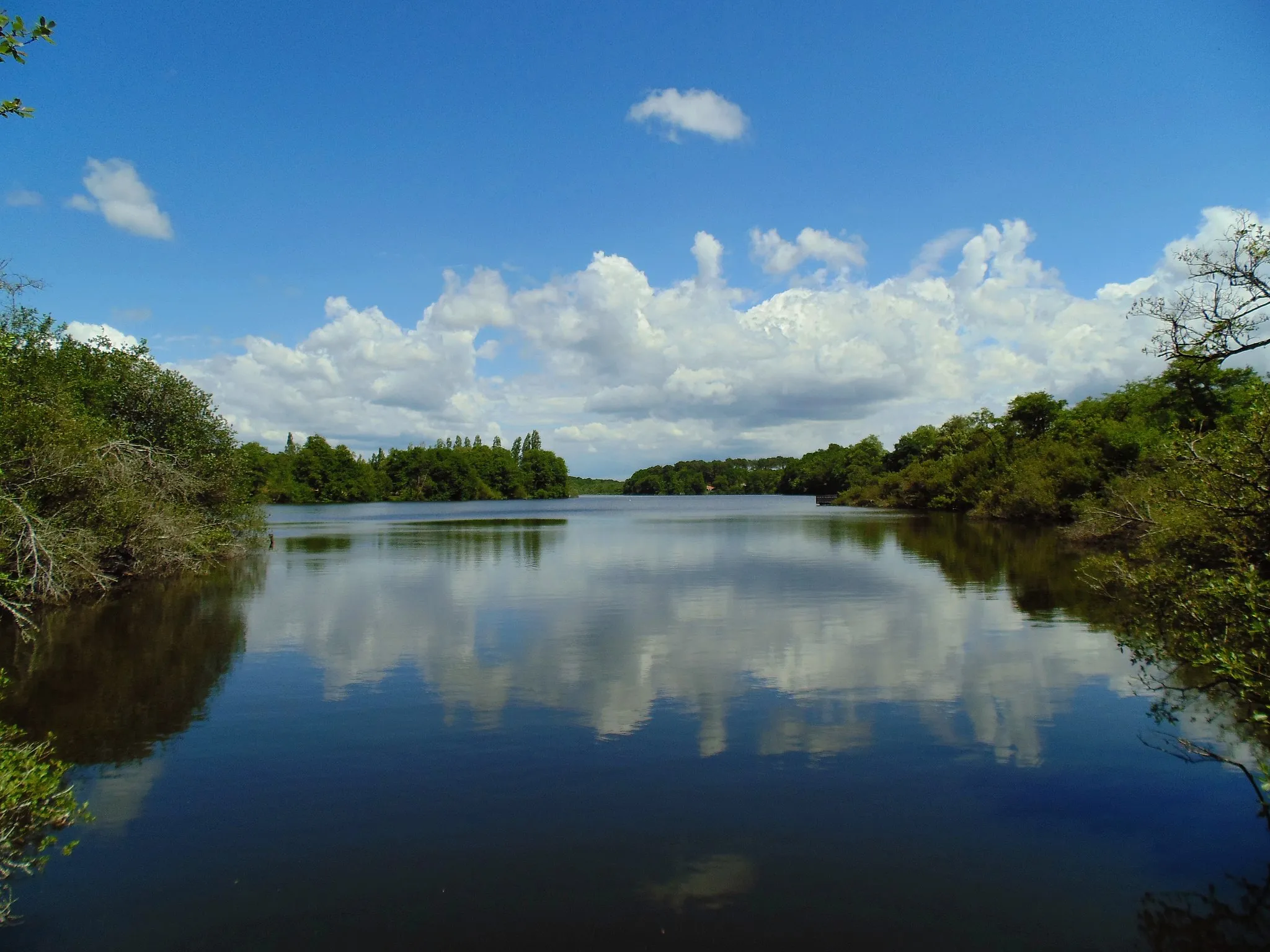 Photo showing: vue de la réserve naturelle nationale de l'étang Noir dans les Landes. Plan d'eau bordé d'une forêt marécageuse. Mai 2015