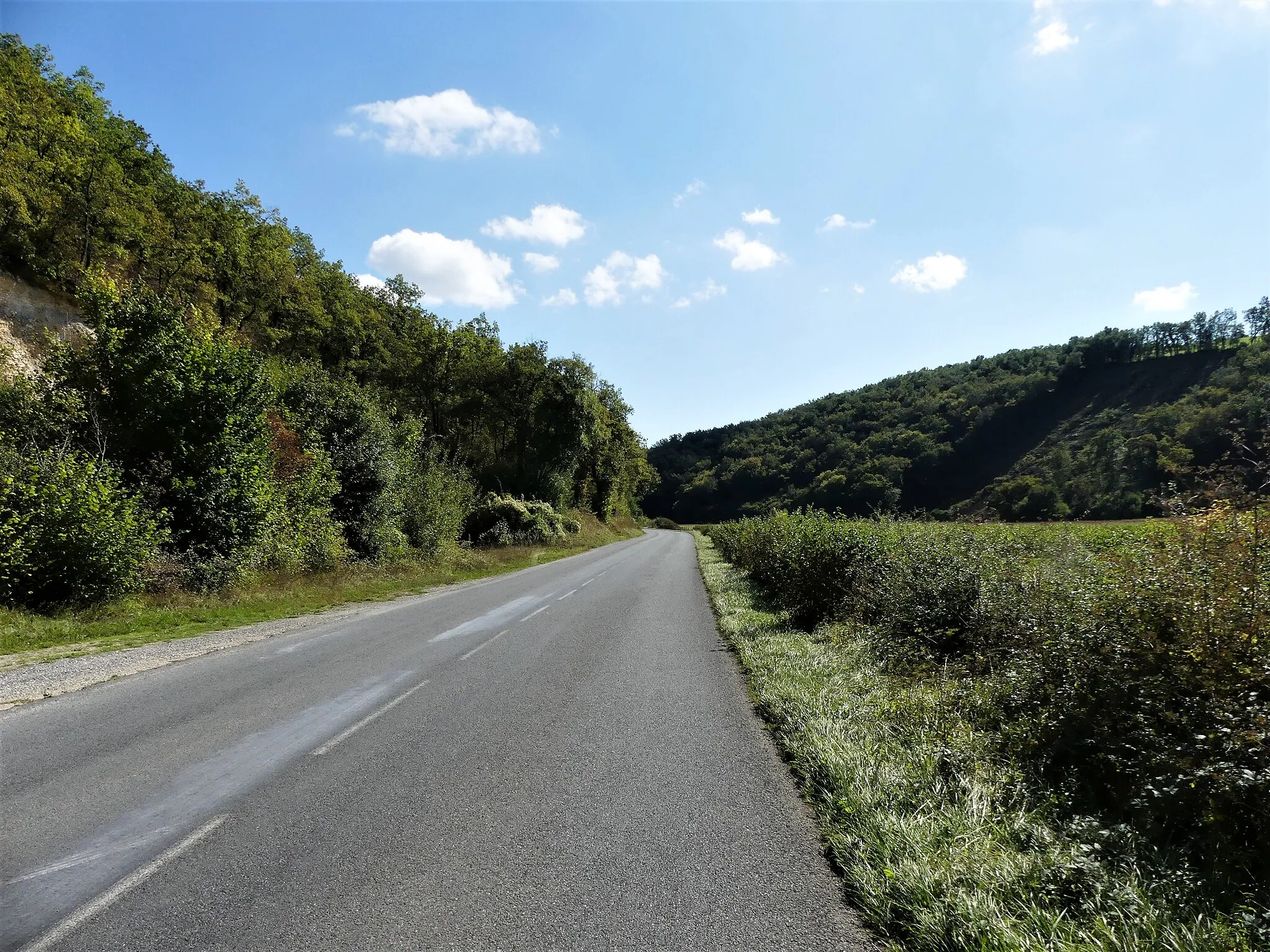 Photo showing: La route départementale 62 en vallée de la Borrèze, à l'ouest du lieu-dit la Pouyade, commune de Borrèze, Dordogne, France. Les coteaux sur la droite font partie du territoire de Salignac-Eyvigues.