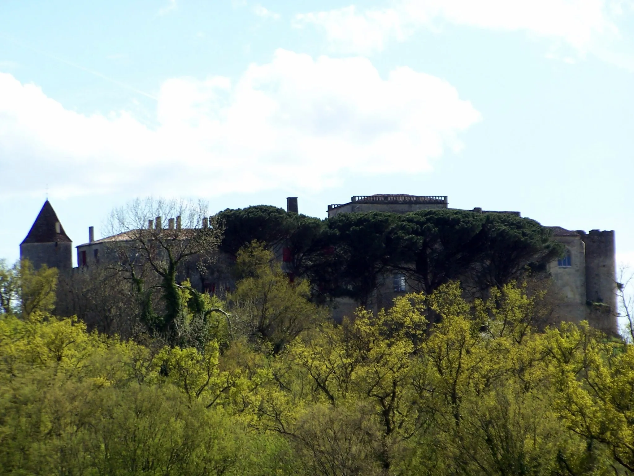 Photo showing: Castle of Benauge in Arbis (Gironde, France)