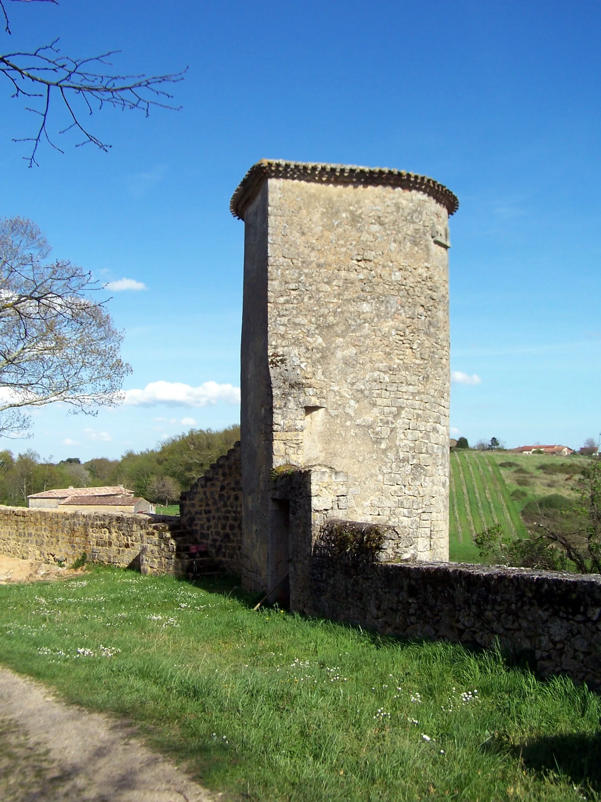 Photo showing: Castle of Benauge in Arbis (Gironde, France)