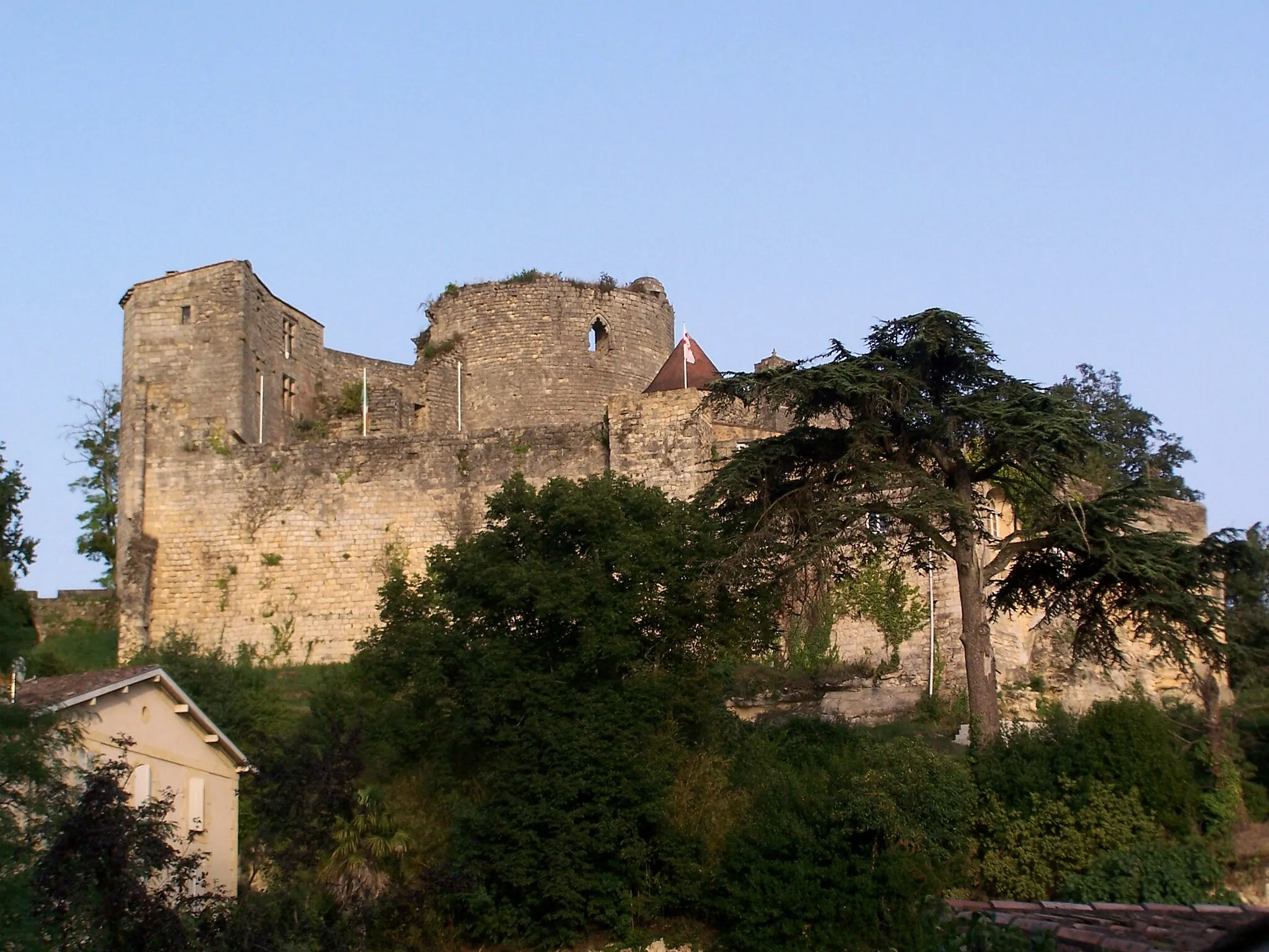 Photo showing: Castle of Langoiran (Gironde, France)