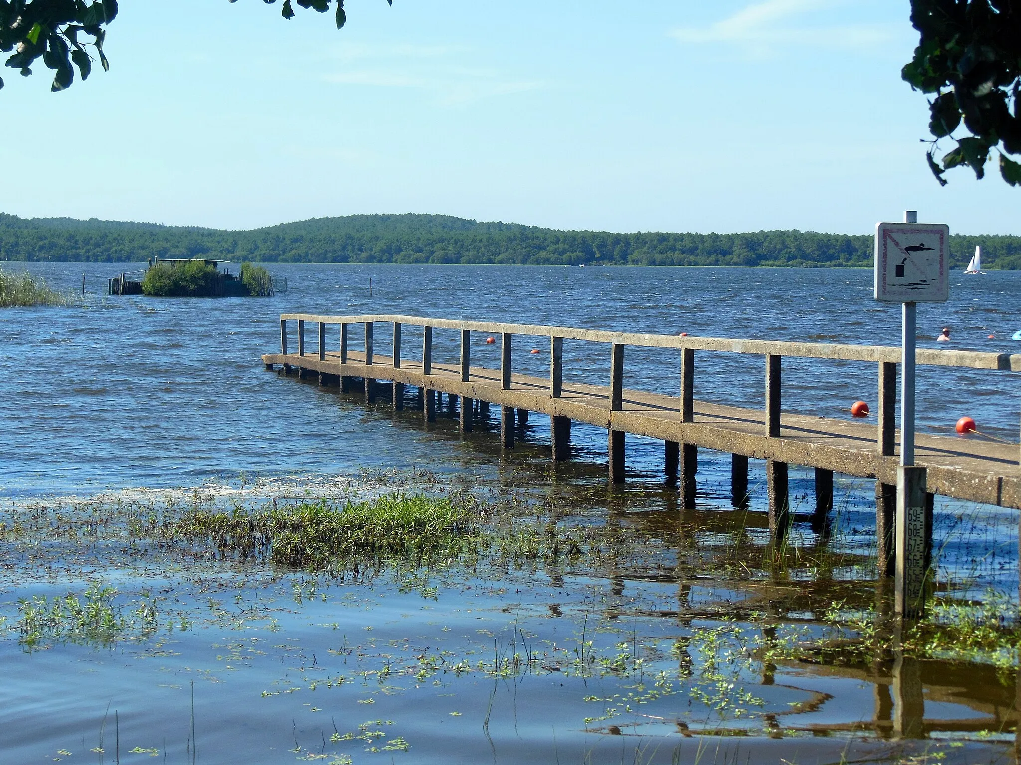 Photo showing: Passerelle en béton édifiée par le duc de Westminster sur le lac d'Aureilhan pour embarquer sur le canot le conduisant à son château de Woolsack, sur la berge opposée (Aureilhan, Landes, France)