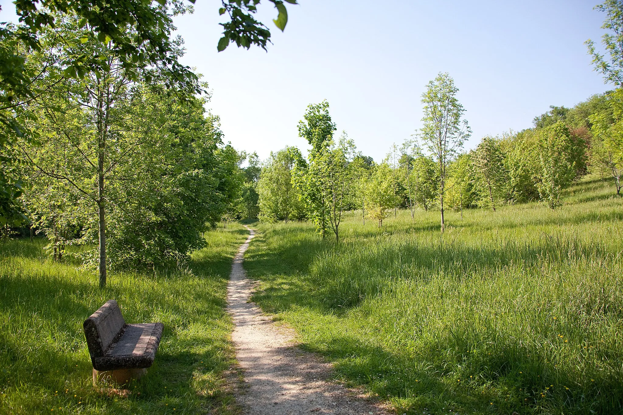 Photo showing: parc de Loc Boué (Bouliac)