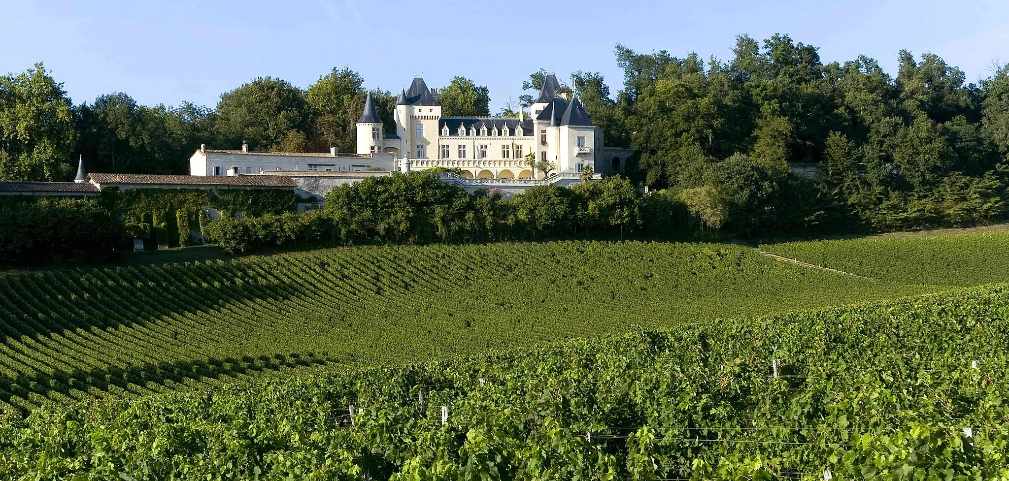 Photo showing: Propriété de l'appellation Fronsac.