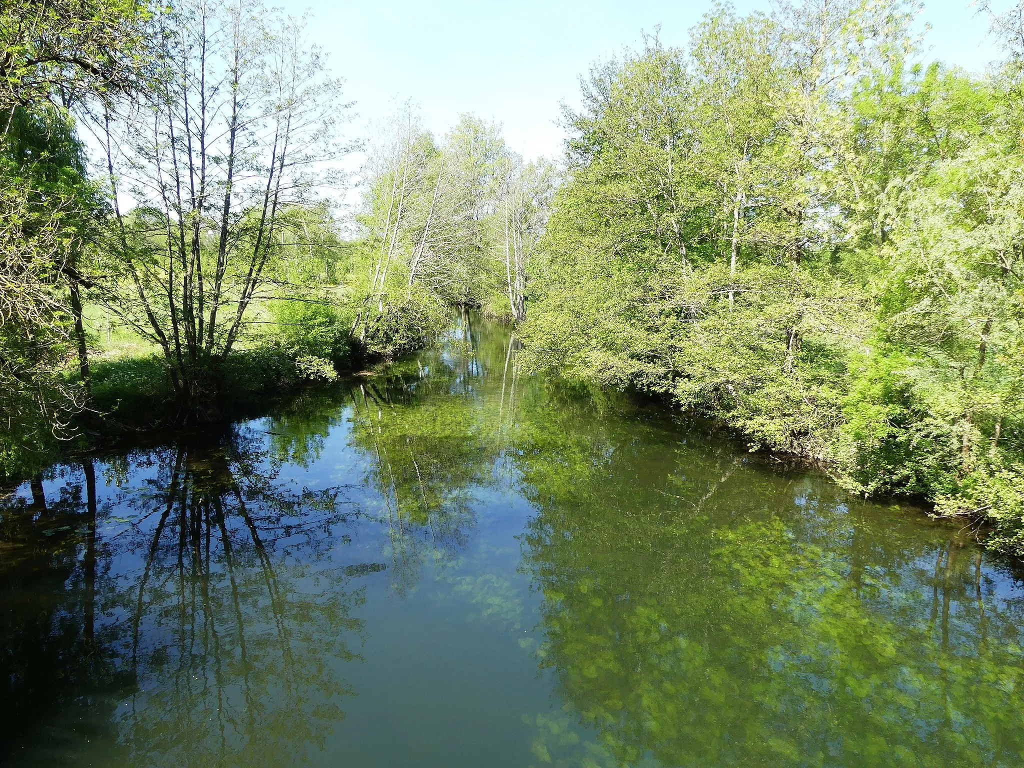 Photo showing: L'attier (bras secondaire) de la Dronne au pont de la route départementale 708, Villetoureix, Dordogne, France. Vue prise en direction de l'aval.