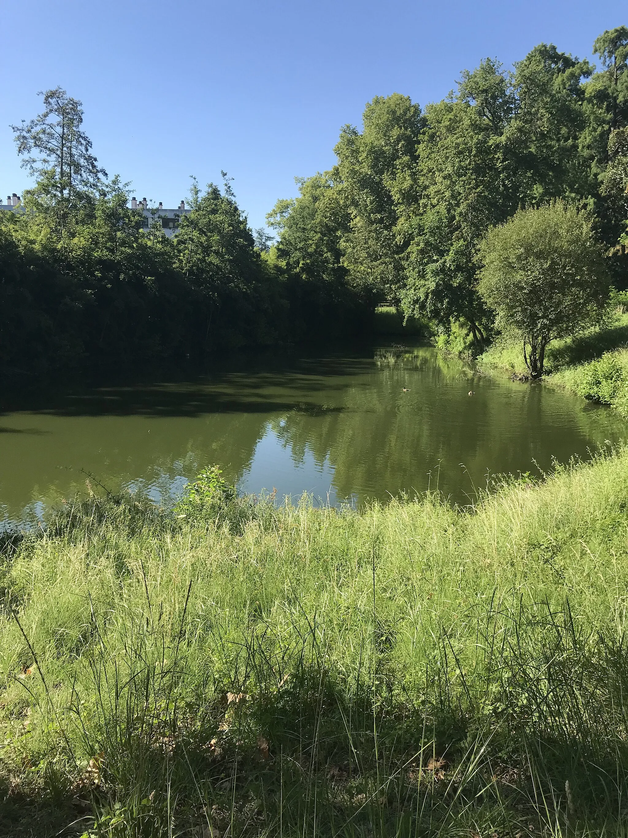 Photo showing: Bassin d'étalement au parc de camponac à Pessac alimenté par le ruisseau d'Ars