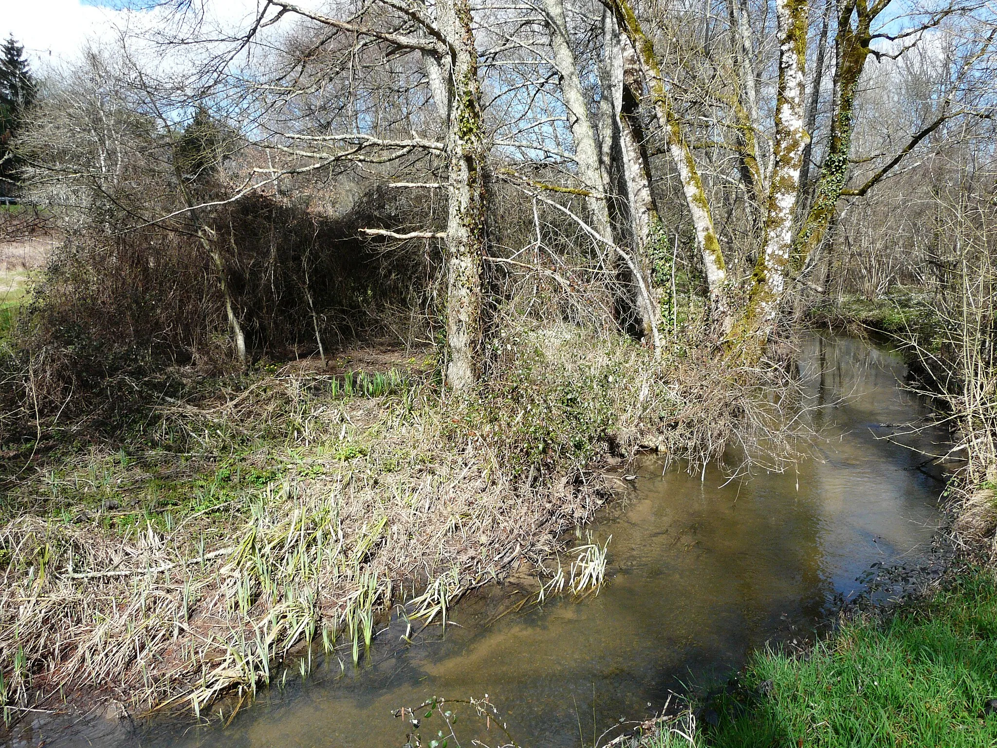 Photo showing: La Beauronne au lieu-dit les Marroux, Saint-Jean-d'Ataux, Dordogne, France. Vue prise en direction de l'amont.