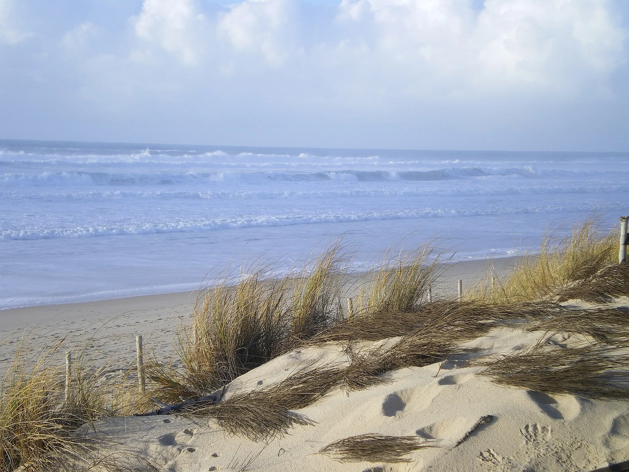Photo showing: l'océan Atlantique vu depuis la dune à Carcans plage.
