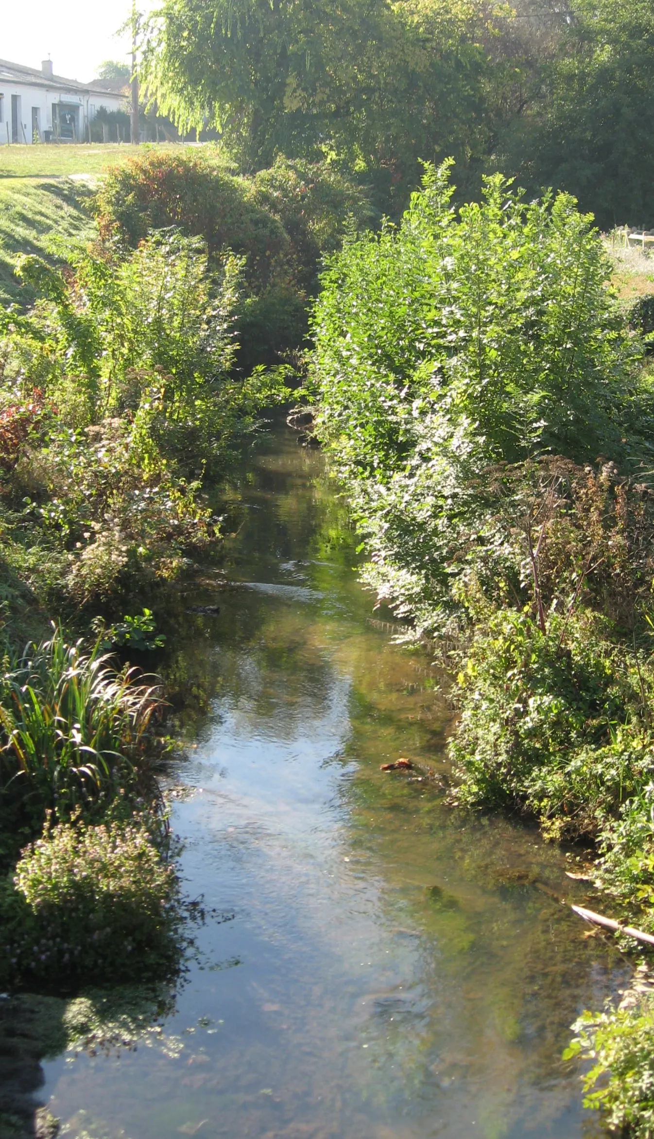 Photo showing: La rivière Eau Blanche à Léognan