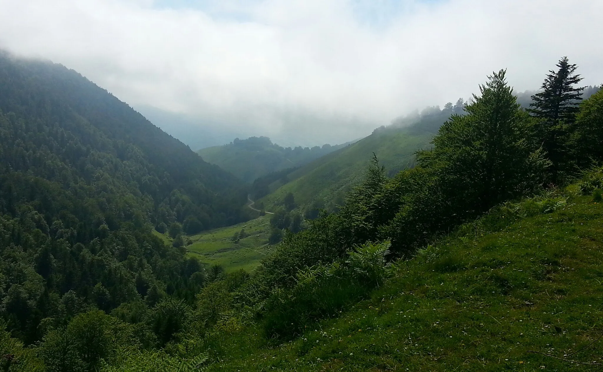 Photo showing: Vue en aval du col de Suscousse