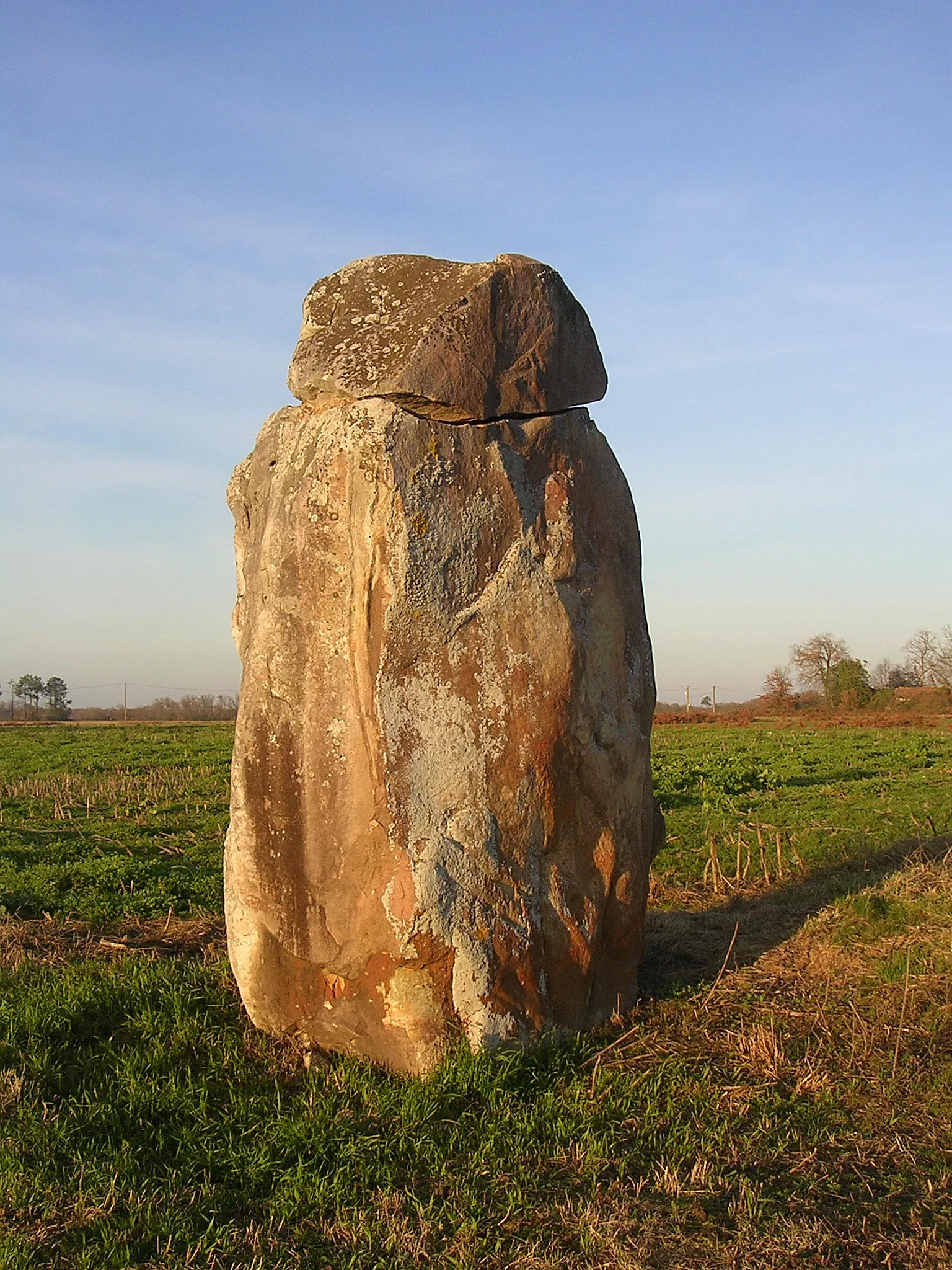 Photo showing: Mégalithe de Guillay, à Larrivière-Saint-Savin (Landes, France)