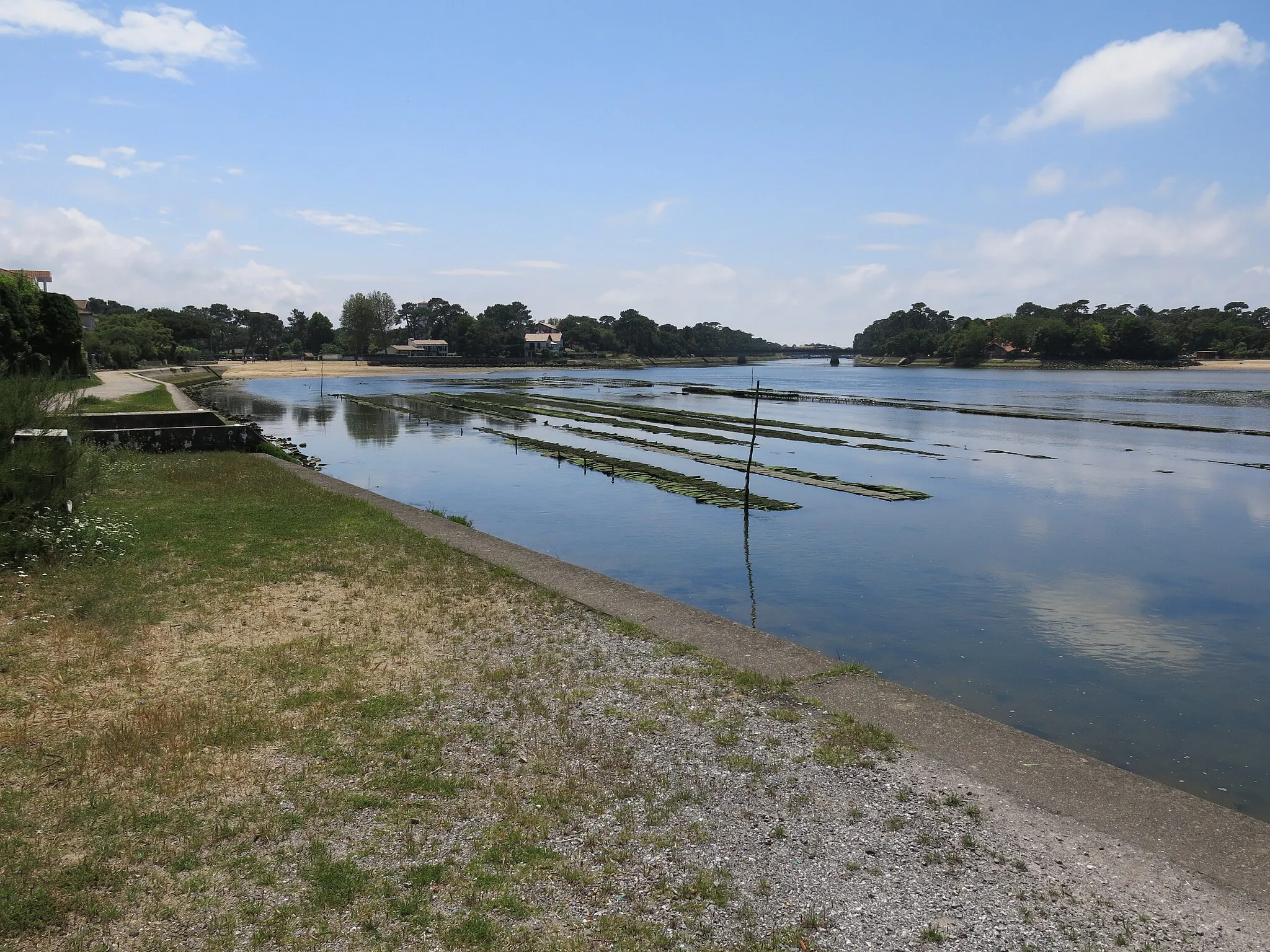 Photo showing: Oyster bags in the Hossegor lake (Landes, France).