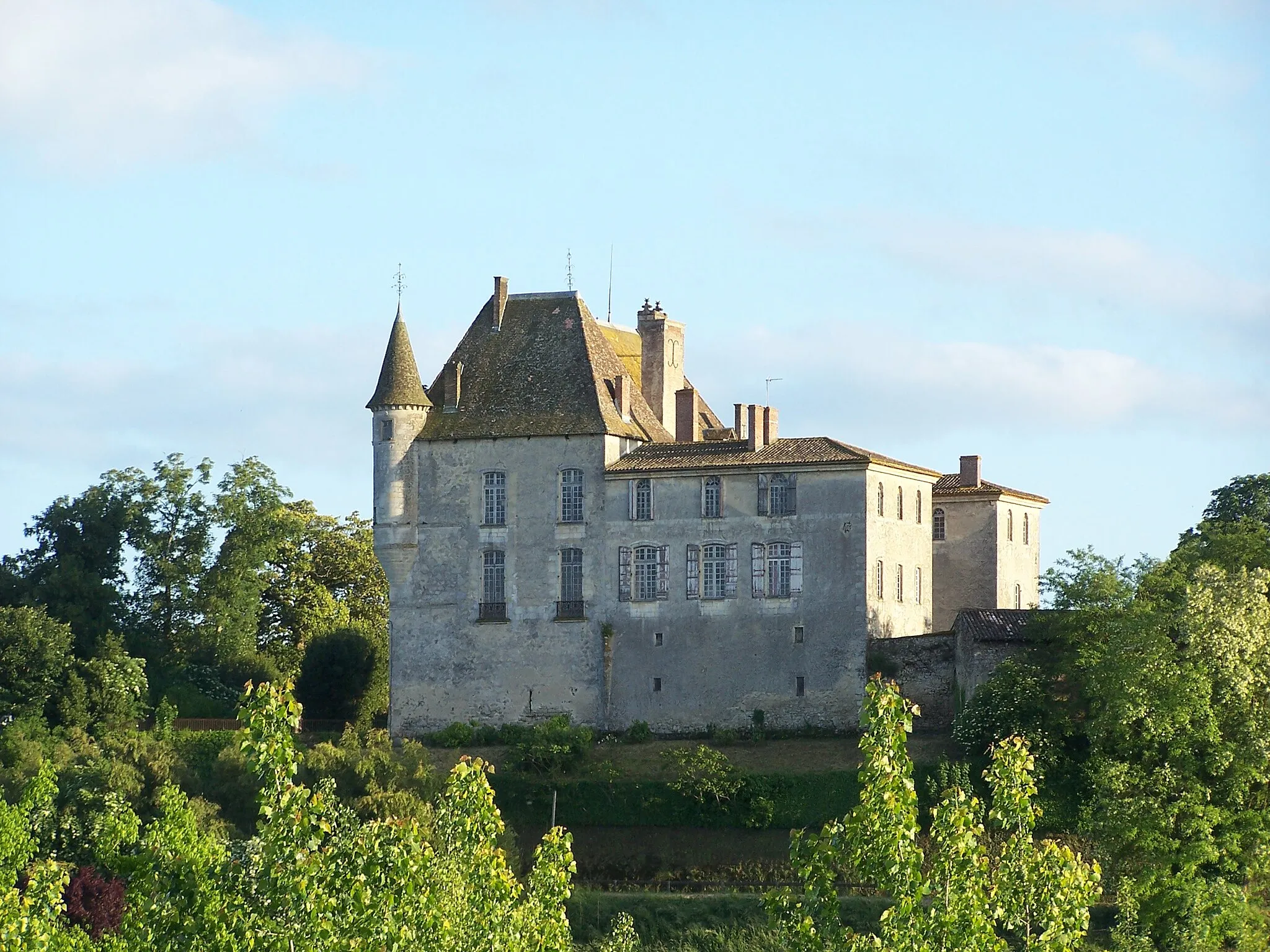 Photo showing: Château de Castets-en-Dorthe, Gironde, France