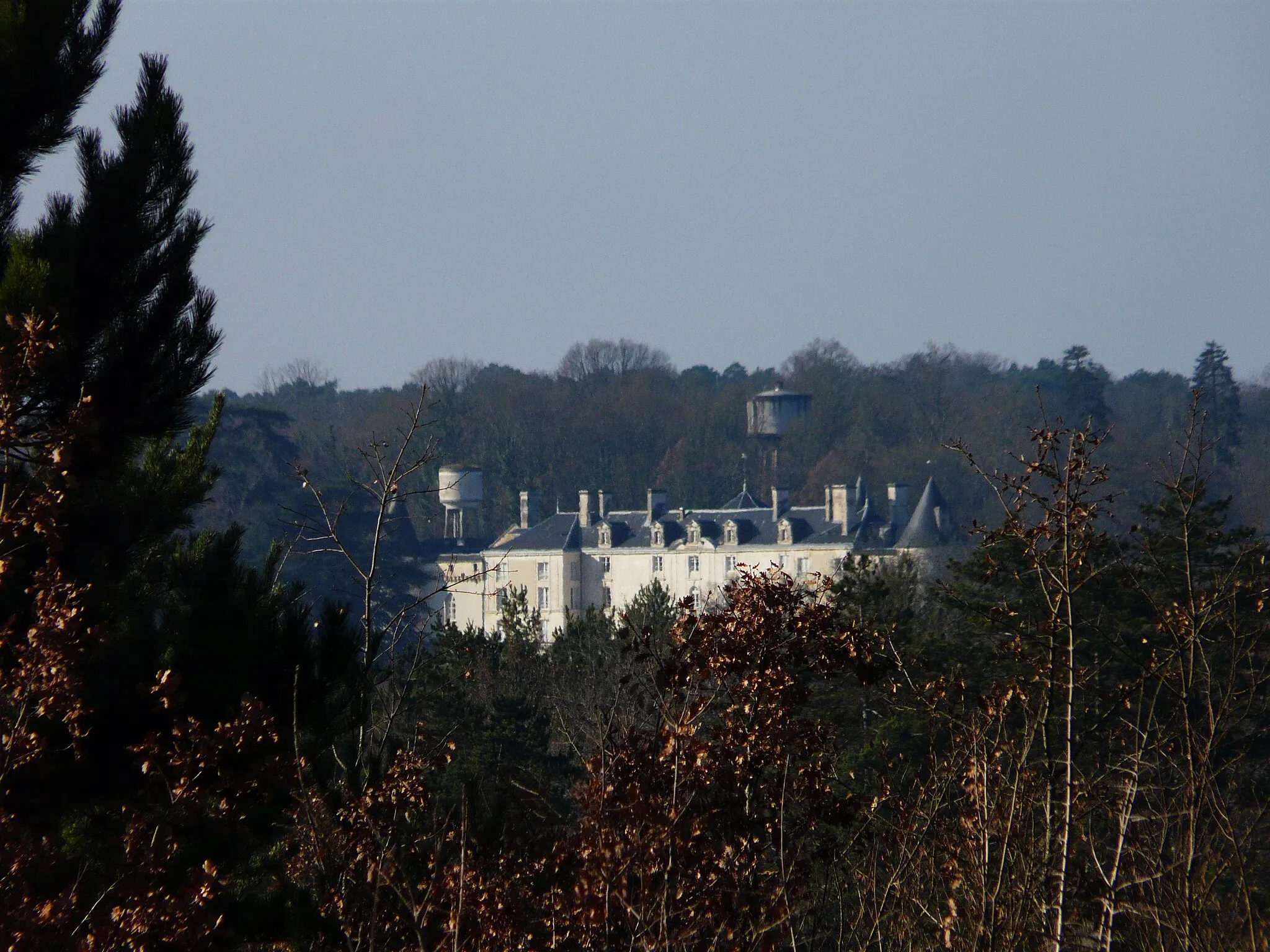 Photo showing: Le château et la forêt domaniale de Lanmary, Antonne-et-Trigonant, Dordogne, France