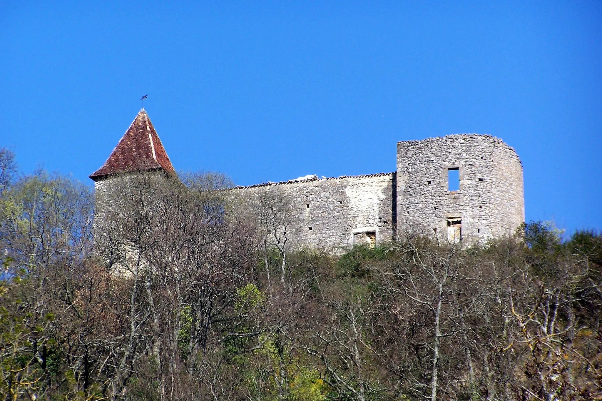 Photo showing: Castle du Cros in Loupiac (Gironde, France)