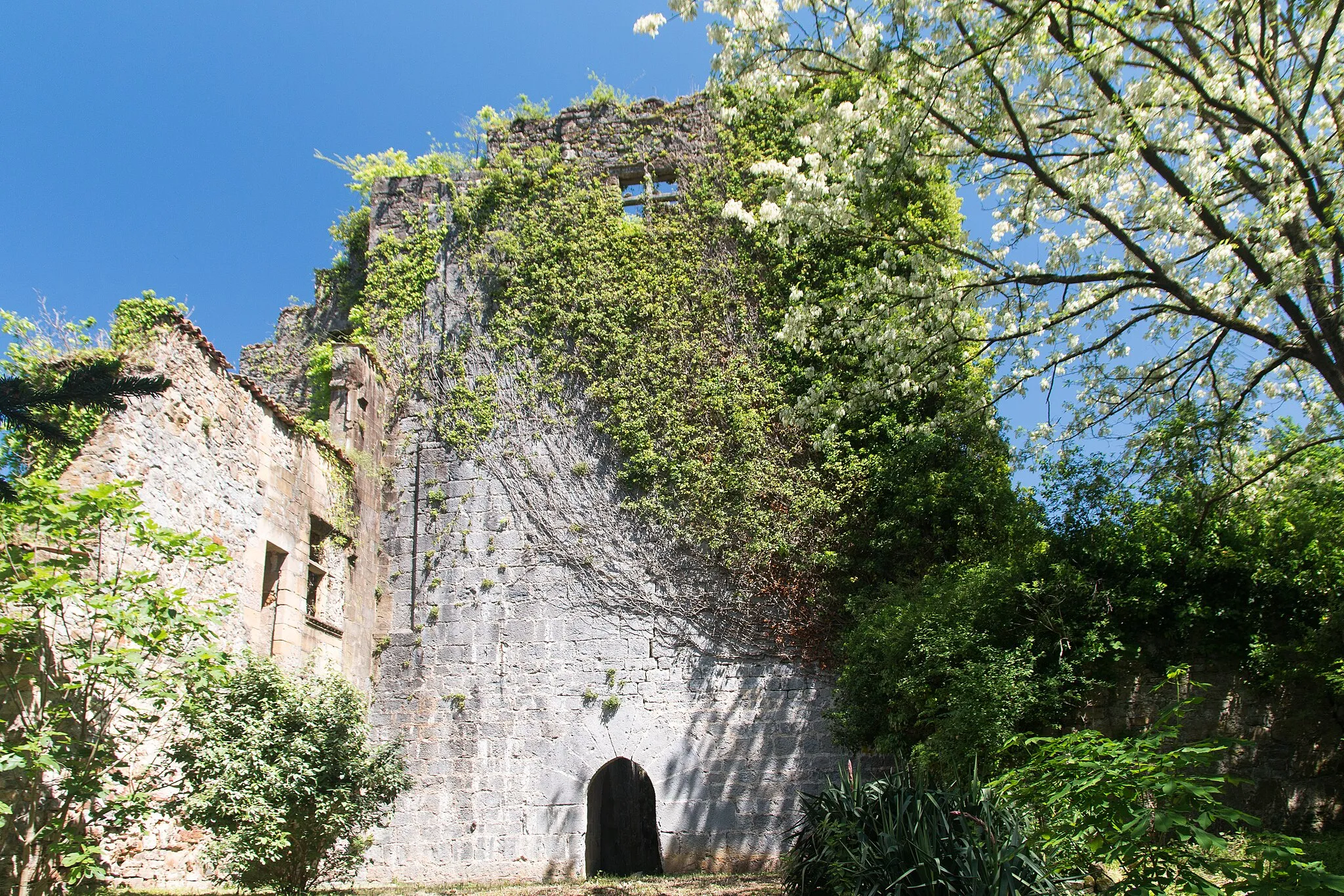 Photo showing: Castle of Saint Pée sur Nivelle