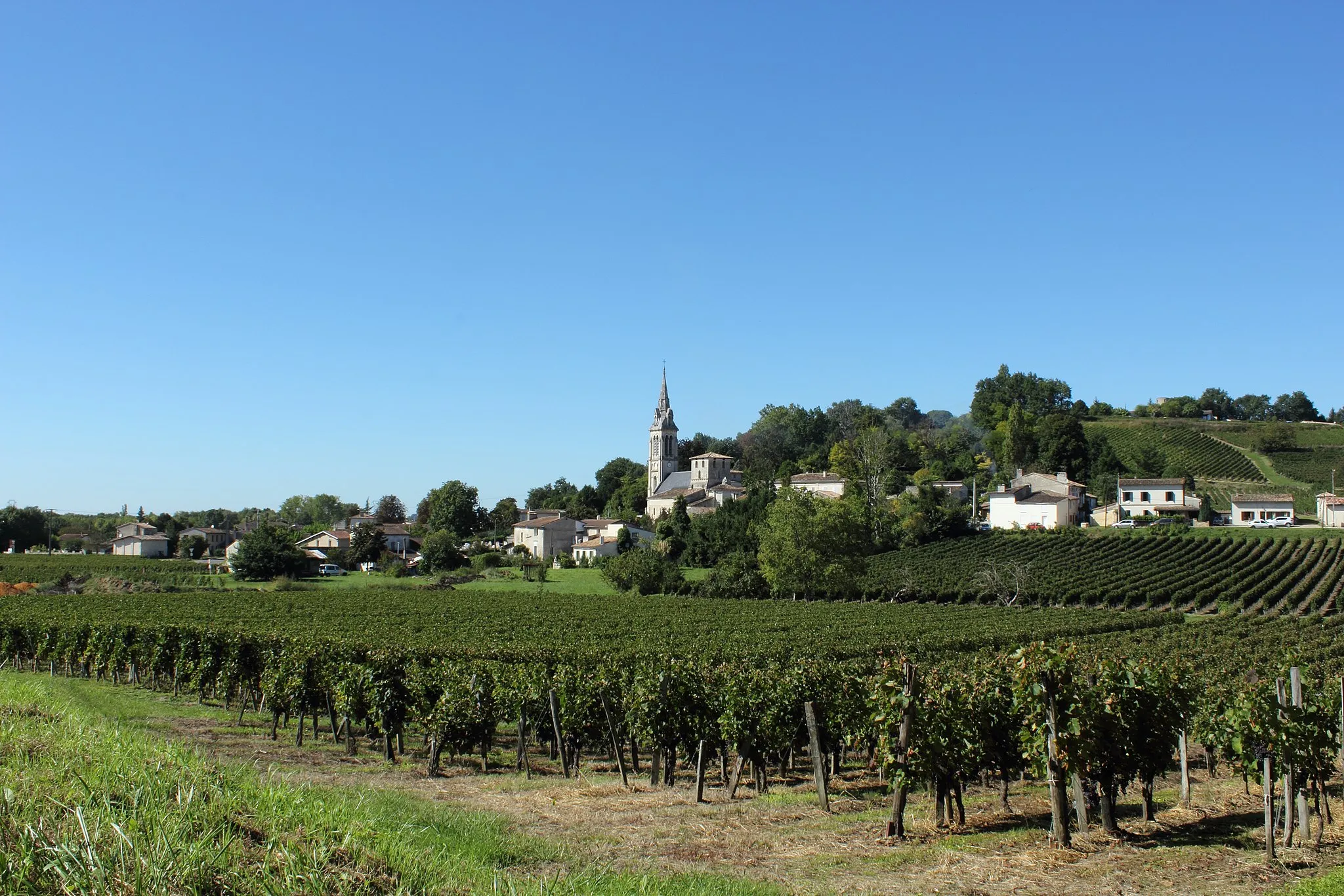 Photo showing: Vue du bourg de Saint-Michel de Fronsac depuis les vignes