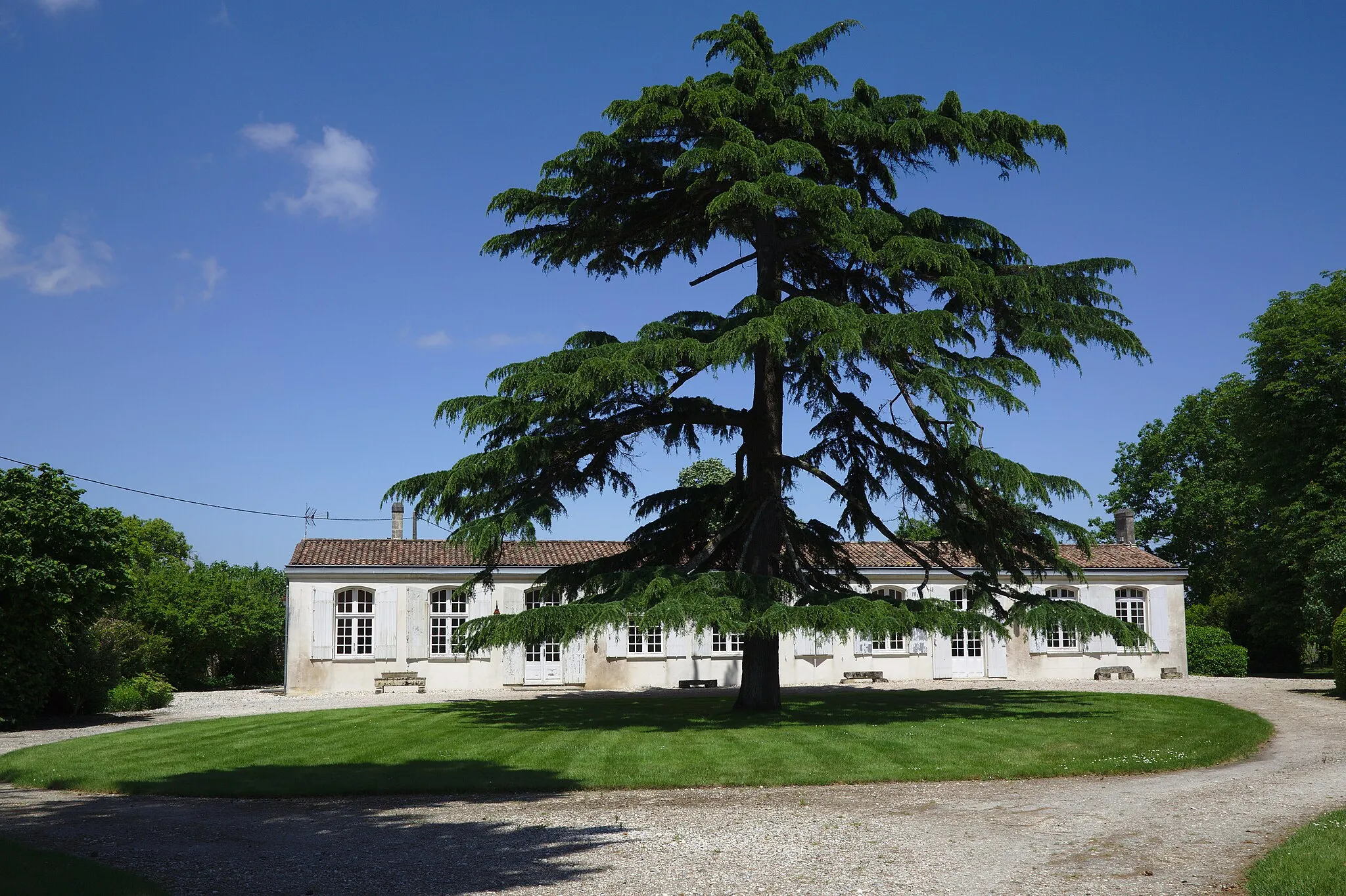 Photo showing: Château Poujeaux