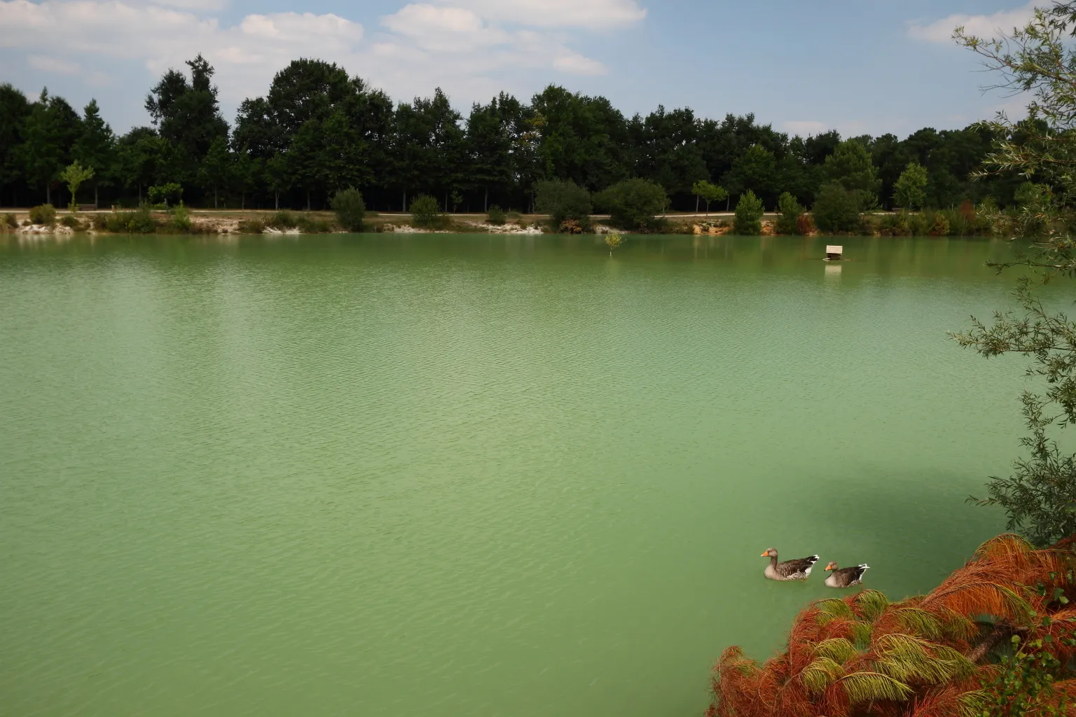 Photo showing: Le Lac Vert très vert