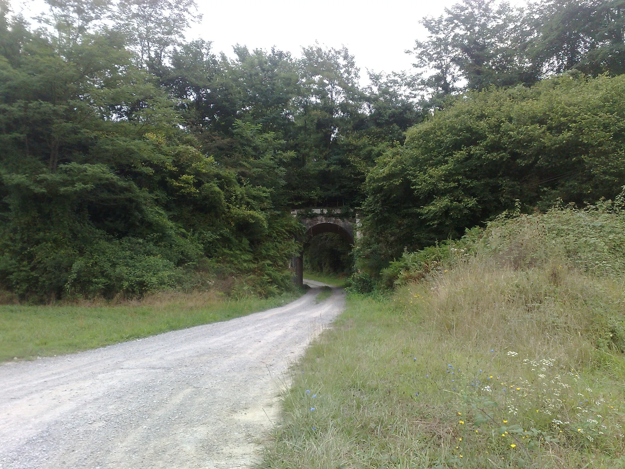 Photo showing: Bridge for the Pujòu-Donapaleu (fr Puyoô-Saint-Palais) train near D 134 road, north of Arboti-Zohota (fr Arbouet-Sussaute) council, near the border with Bearn. Lower Navarre, Basque Country.