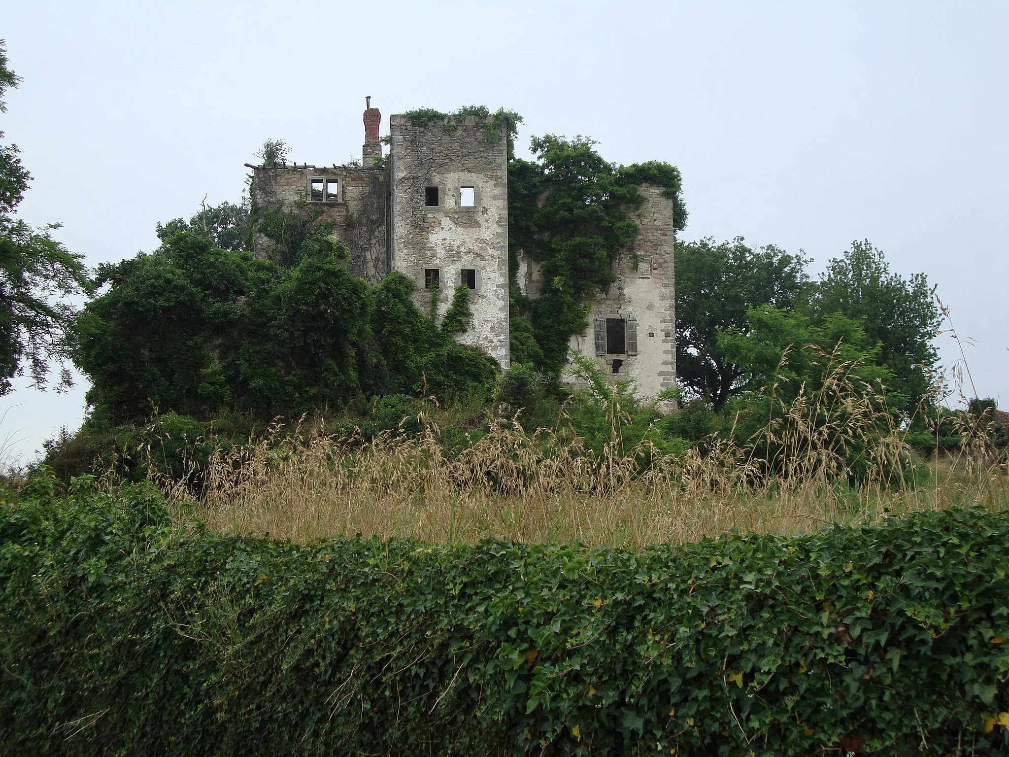 Photo showing: Beyrie-sur-Joyeuse_(Pyr-Atl,_Fr) the castle needing restauration.