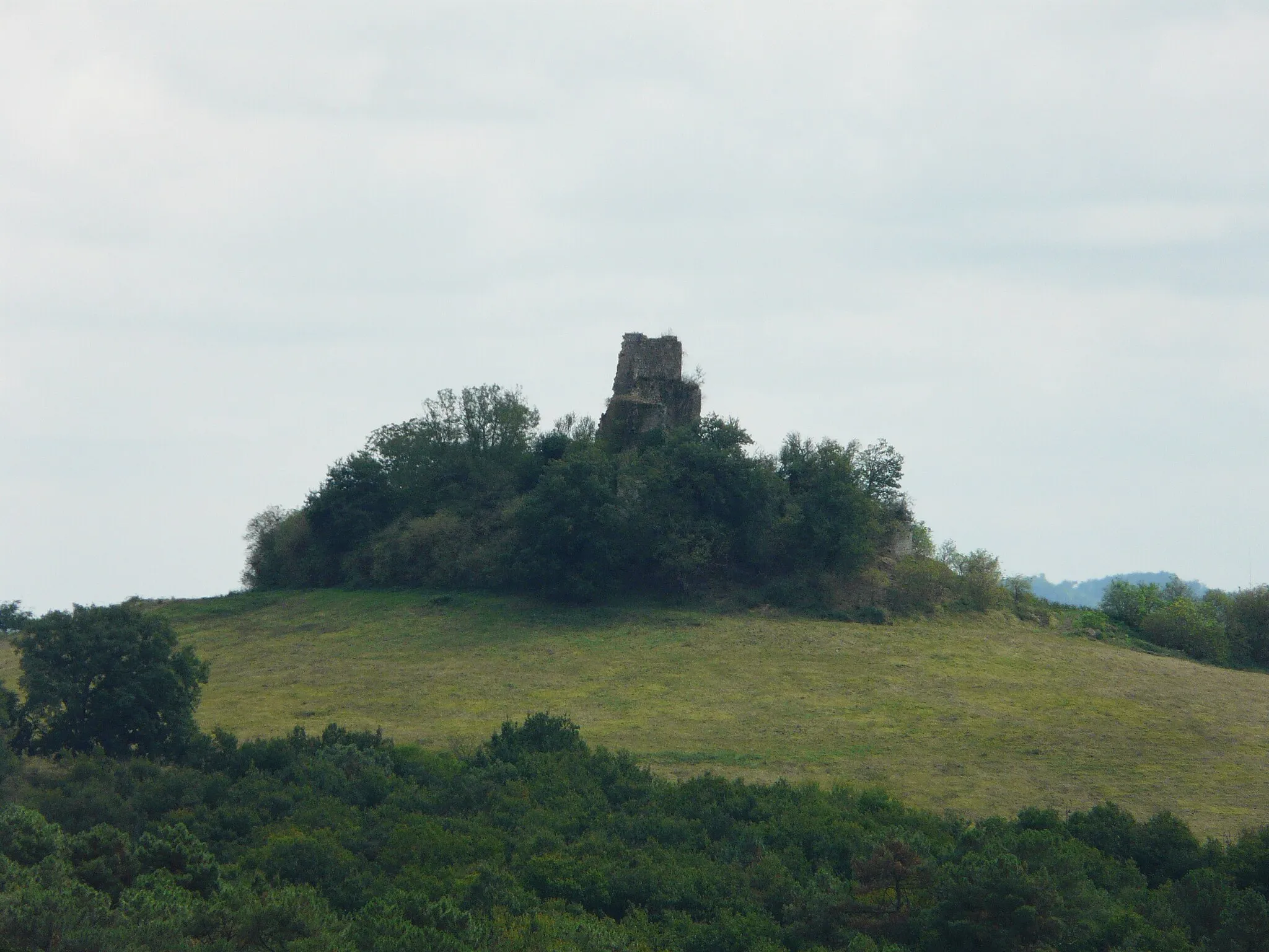 Photo showing: Les ruines du château de Gurson, Carsac-de-Gurson, Dordogne, France.