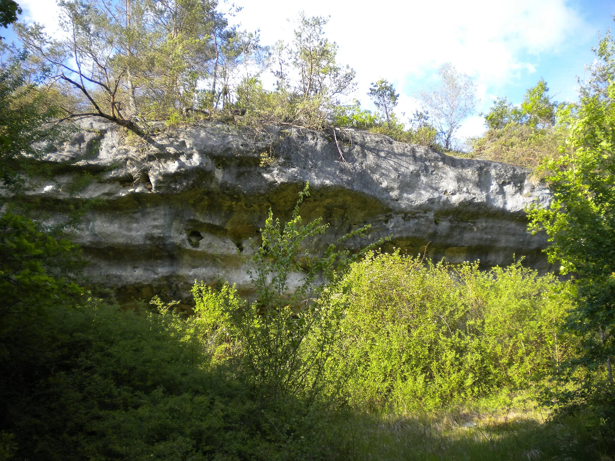 Photo showing: Cliff overhang made of weakly dipping Angoulême Formation, lower member of the Angoumian (Lower Turonian). Near Champeaux-et-la-Chapelle-Pommier, Dordogne, France.