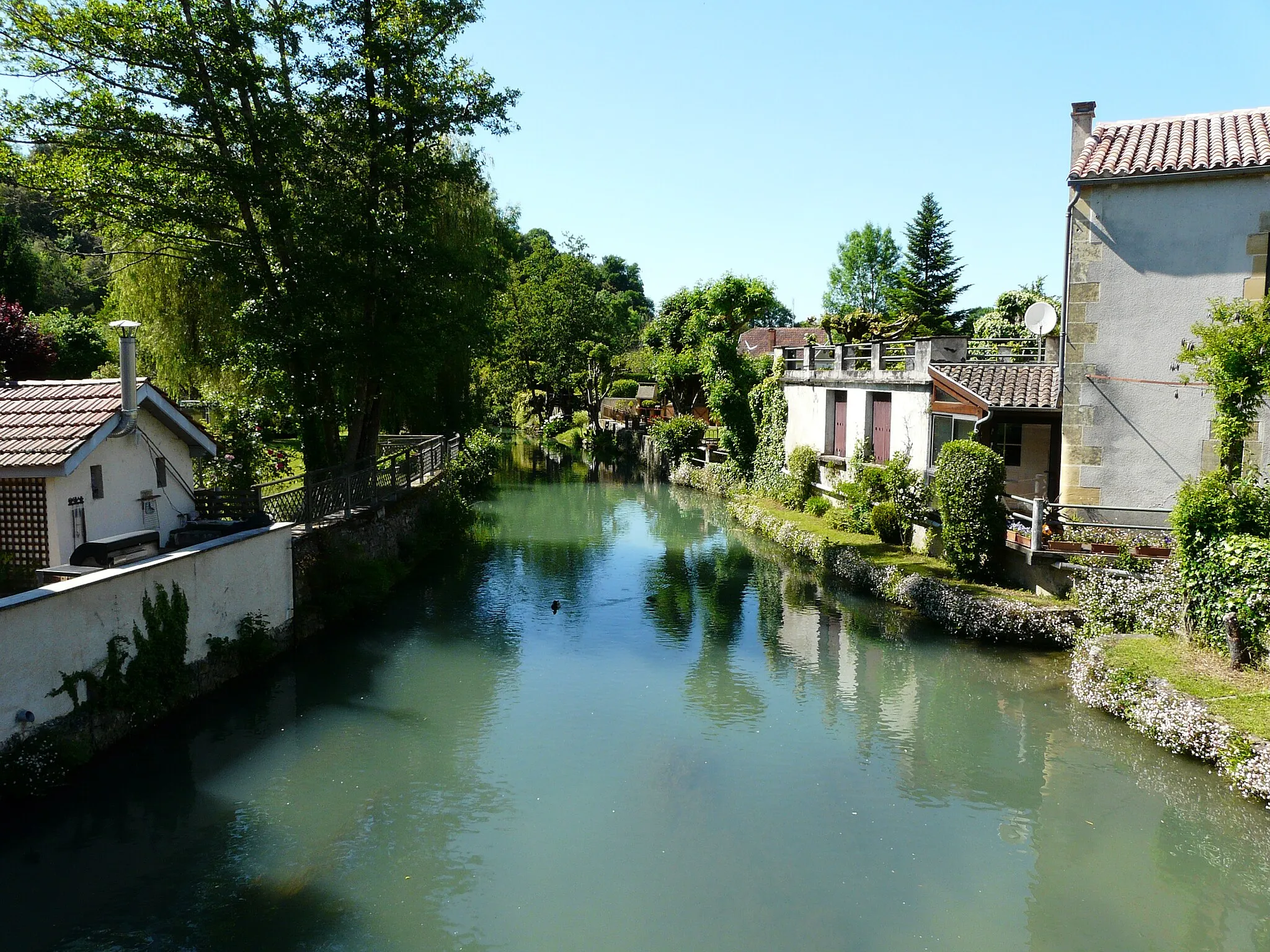 Photo showing: La Couze en aval du pont de la route départementale 37, Couze-et-Saint-Front, Dordogne, France.