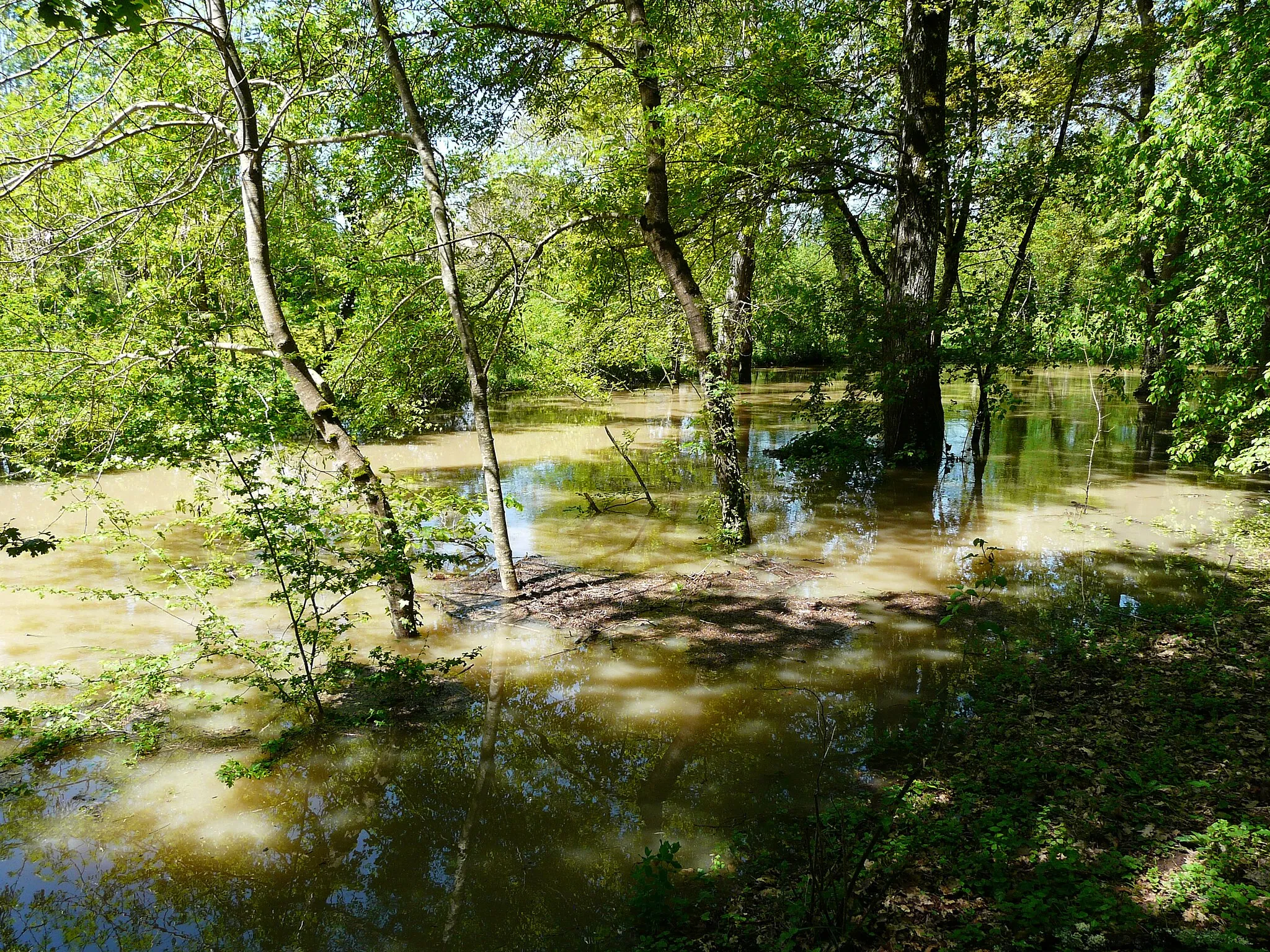 Photo showing: Le Barailler en crue, entre le pont de la route du Dry et le pont de la route départementale 32. Il marque la limite entre Saint-Pierre-d'Eyraud (premier plan) et Le Fleix (en rive opposée), Dordogne, France.