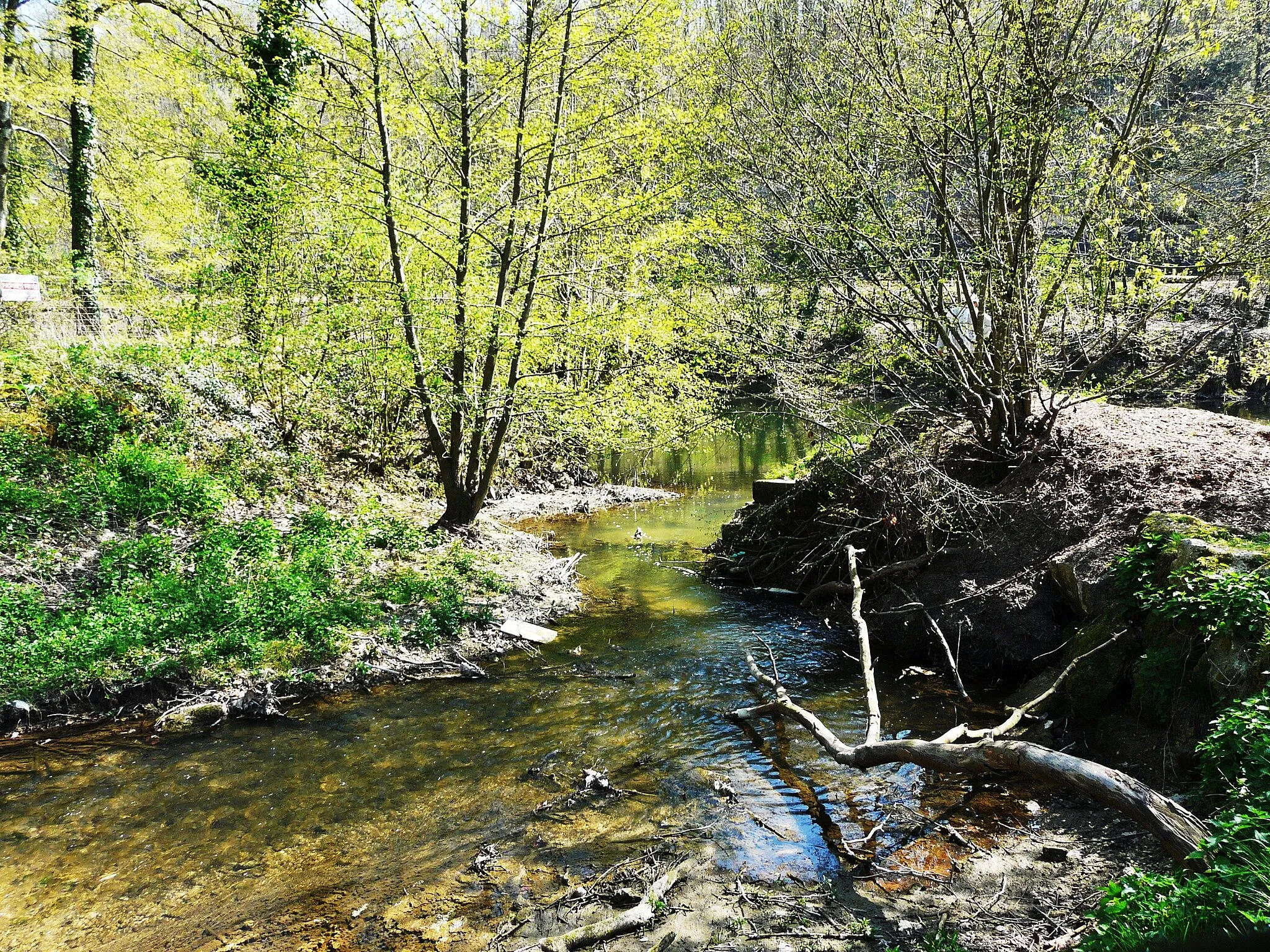 Photo showing: Confluent de la Beauronne (en bas à gauche) et de l'Isle (au fond) à Saltgourde, entre Marsac-sur-l'Isle (à droite) et Périgueux, Dordogne, France