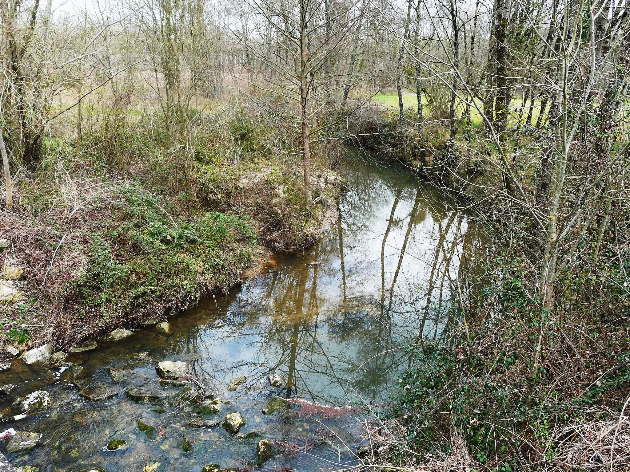 Photo showing: Le Barailler en amont du pont de la route départementale 15, près du lieu-dit Petit Lavaure, Saint-Pierre-d'Eyraud, Dordogne, France.