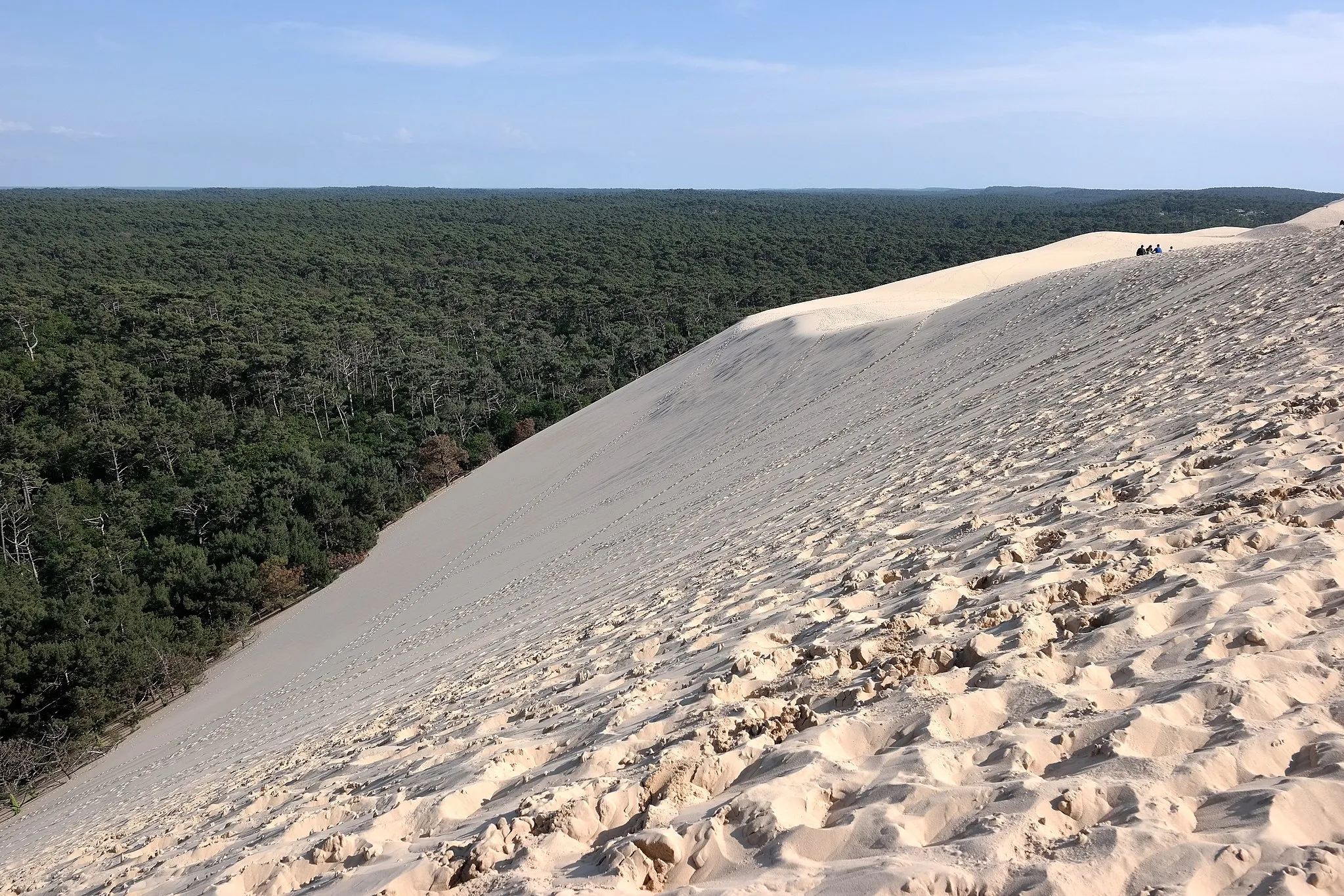 Photo showing: Dune du Pyla versant Est