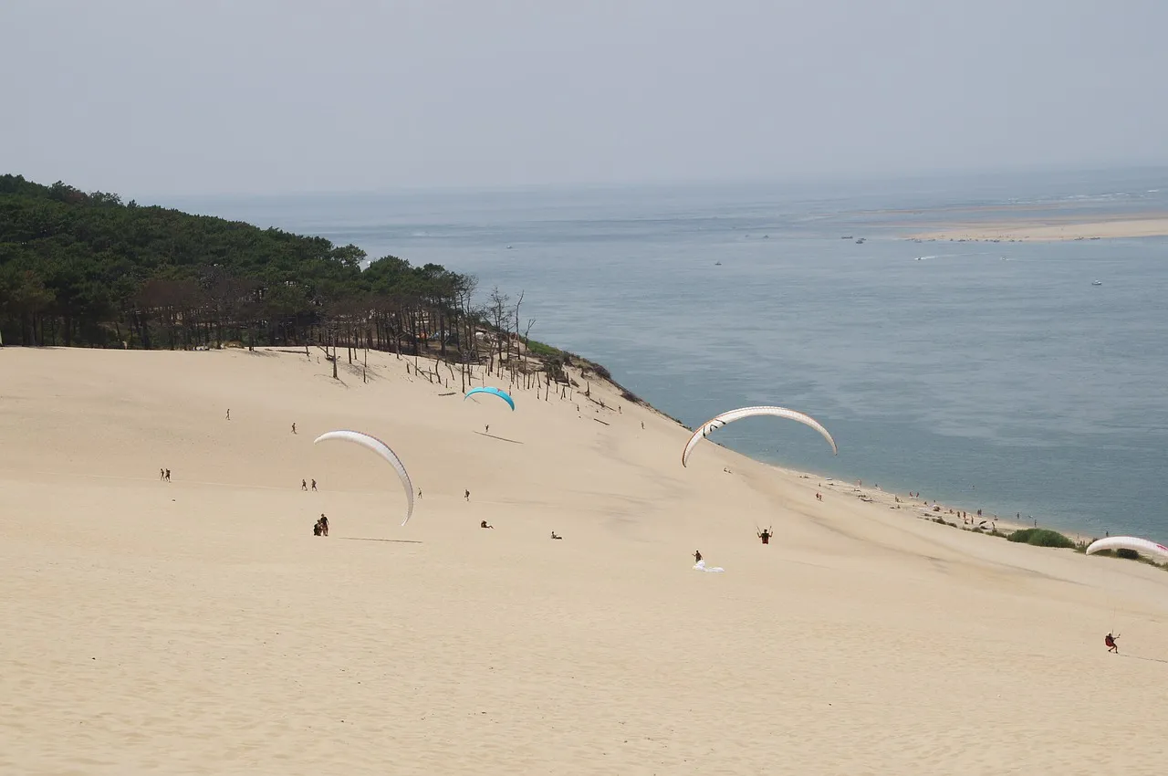 Photo showing: Paragliders on the Dune de Pilat