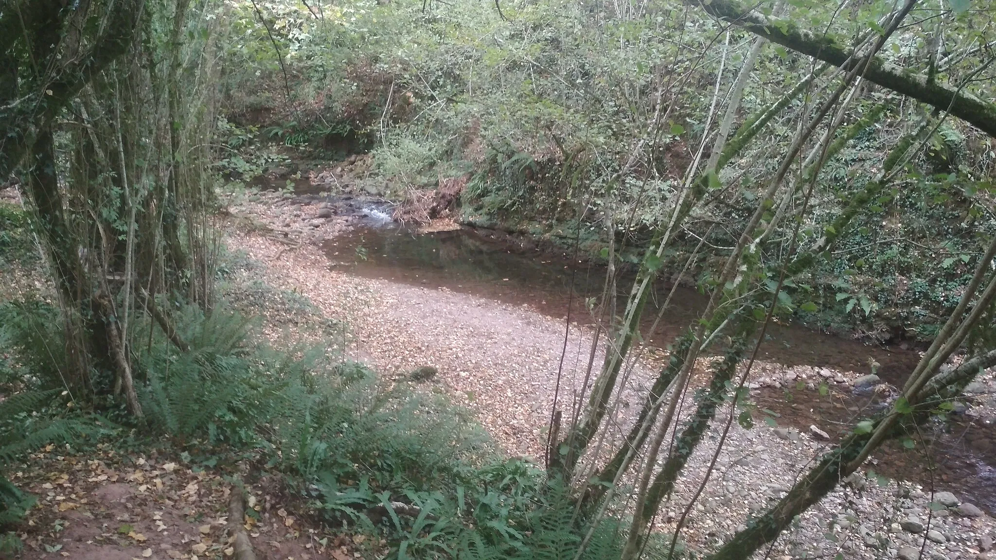 Photo showing: Iñarbegiko Erreka (Euskal Herriko ibaia)