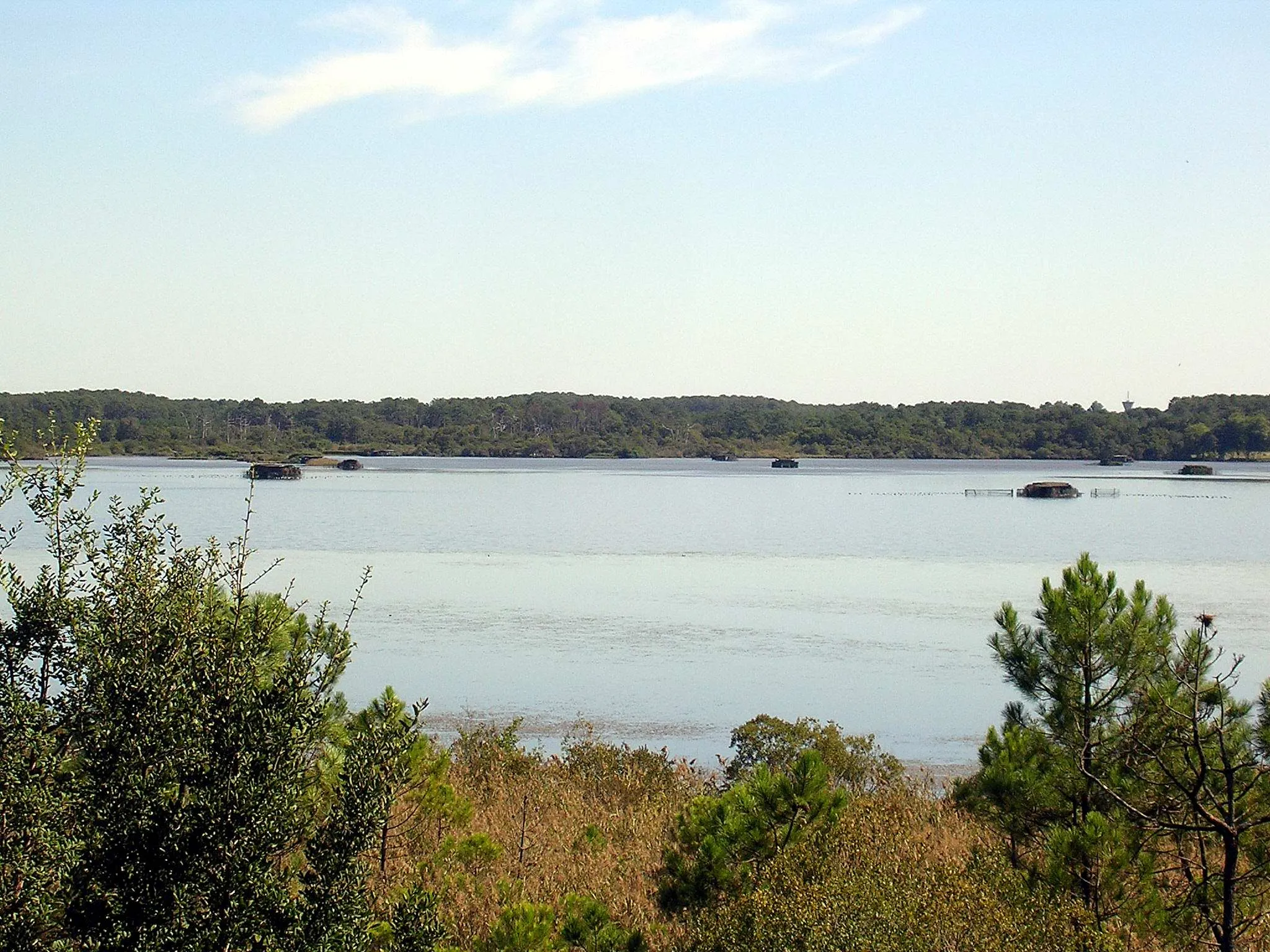 Photo showing: Étang Blanc, à Soustons dans le département français des Landes