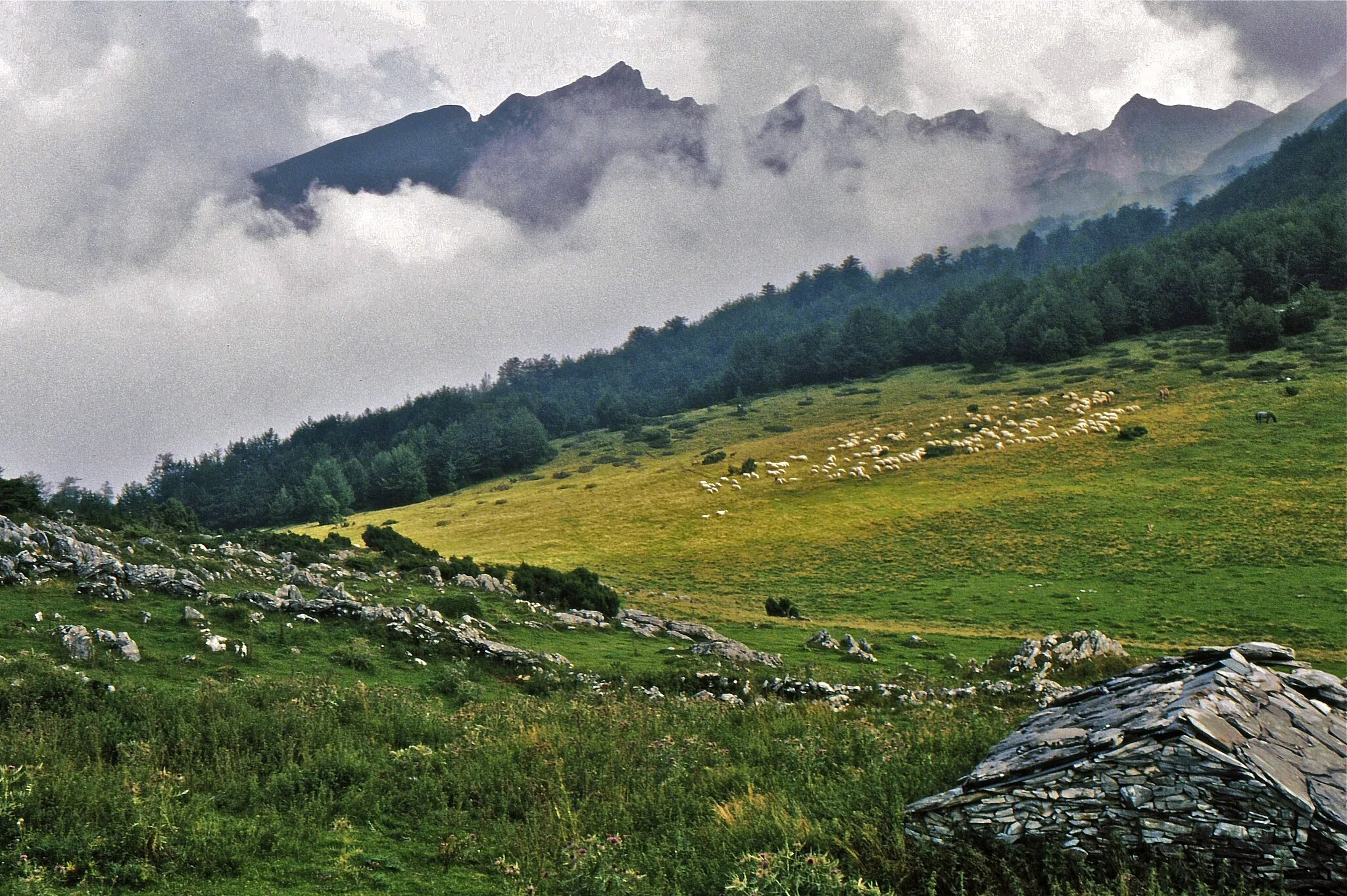 Photo showing: Auf dem Plateau de Bouy zwischen Eaux Bonnes und Gourette in den Pyrenäen