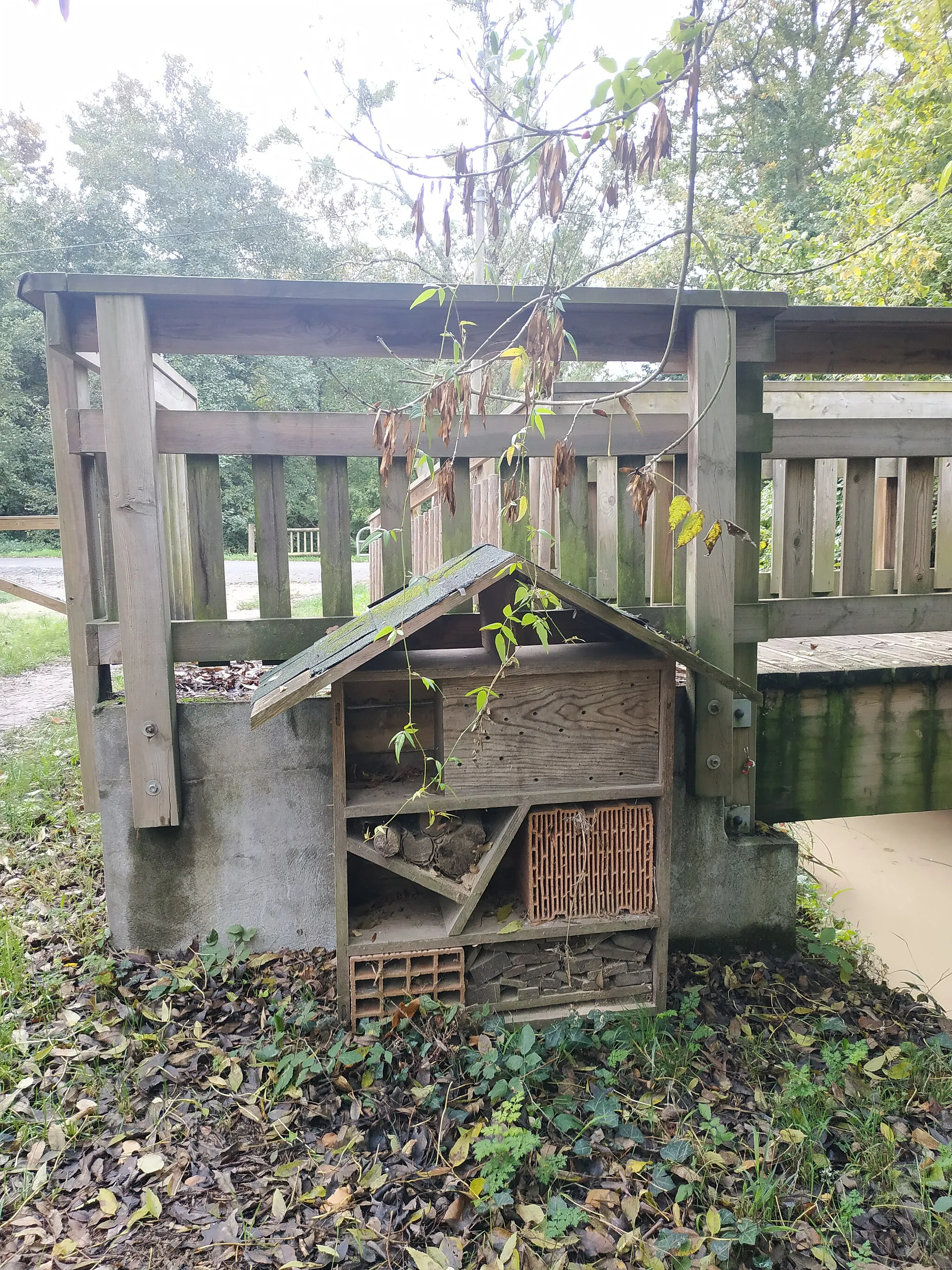 Photo showing: hotel à insecte